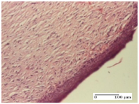 Molecules 25 05356 i068 Molecules 25 05356 i068