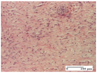 Molecules 25 05356 i069 Molecules 25 05356 i069