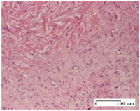 Molecules 25 05356 i071 Molecules 25 05356 i071