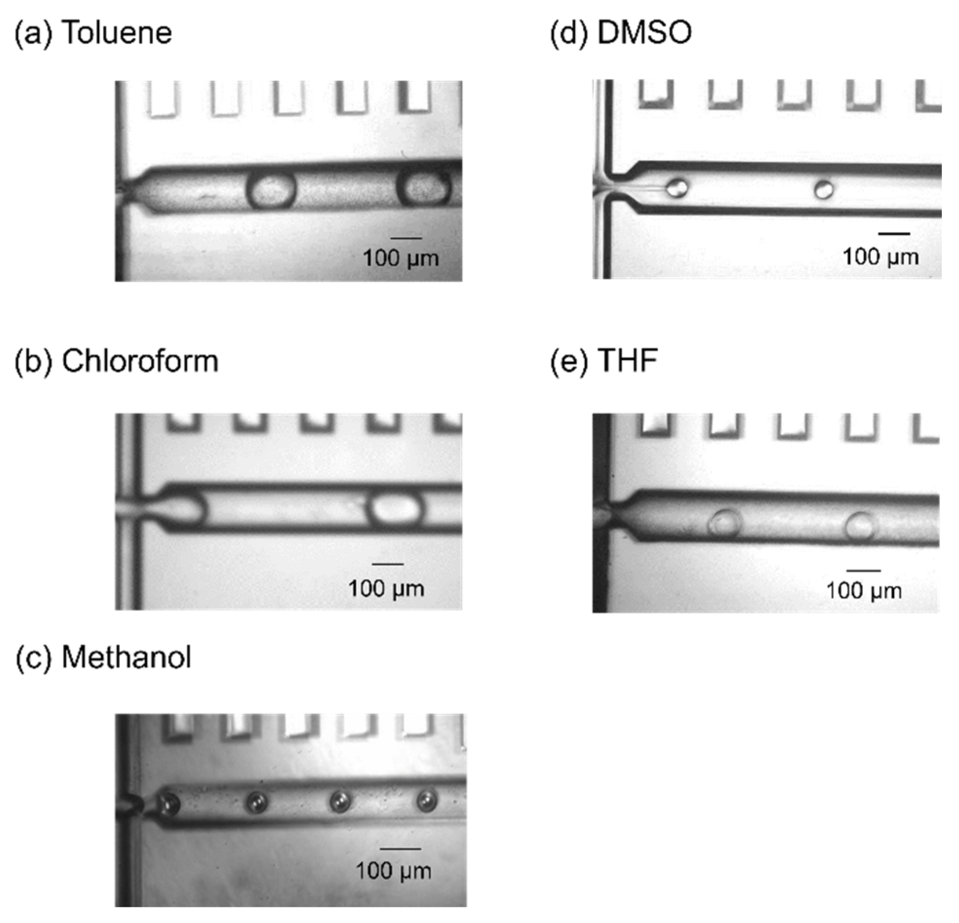 Molecules 25 05360 g001 Molecules 25 05360 g001