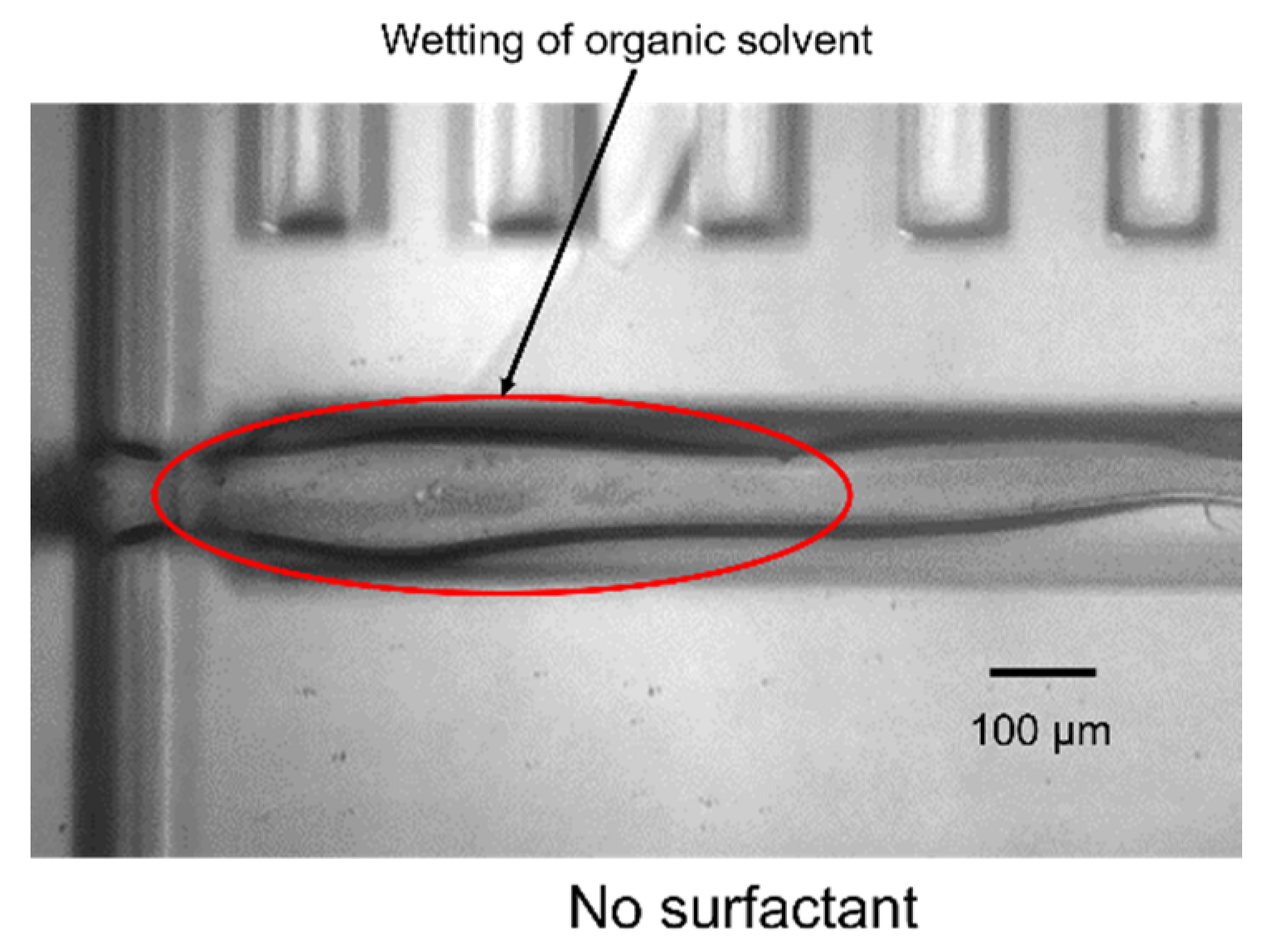 Molecules 25 05360 g002 Molecules 25 05360 g002