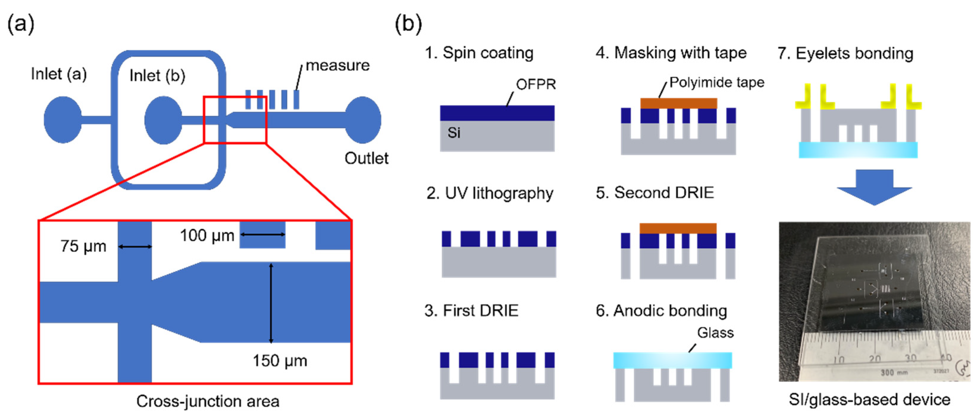 Molecules 25 05360 g007 Molecules 25 05360 g007