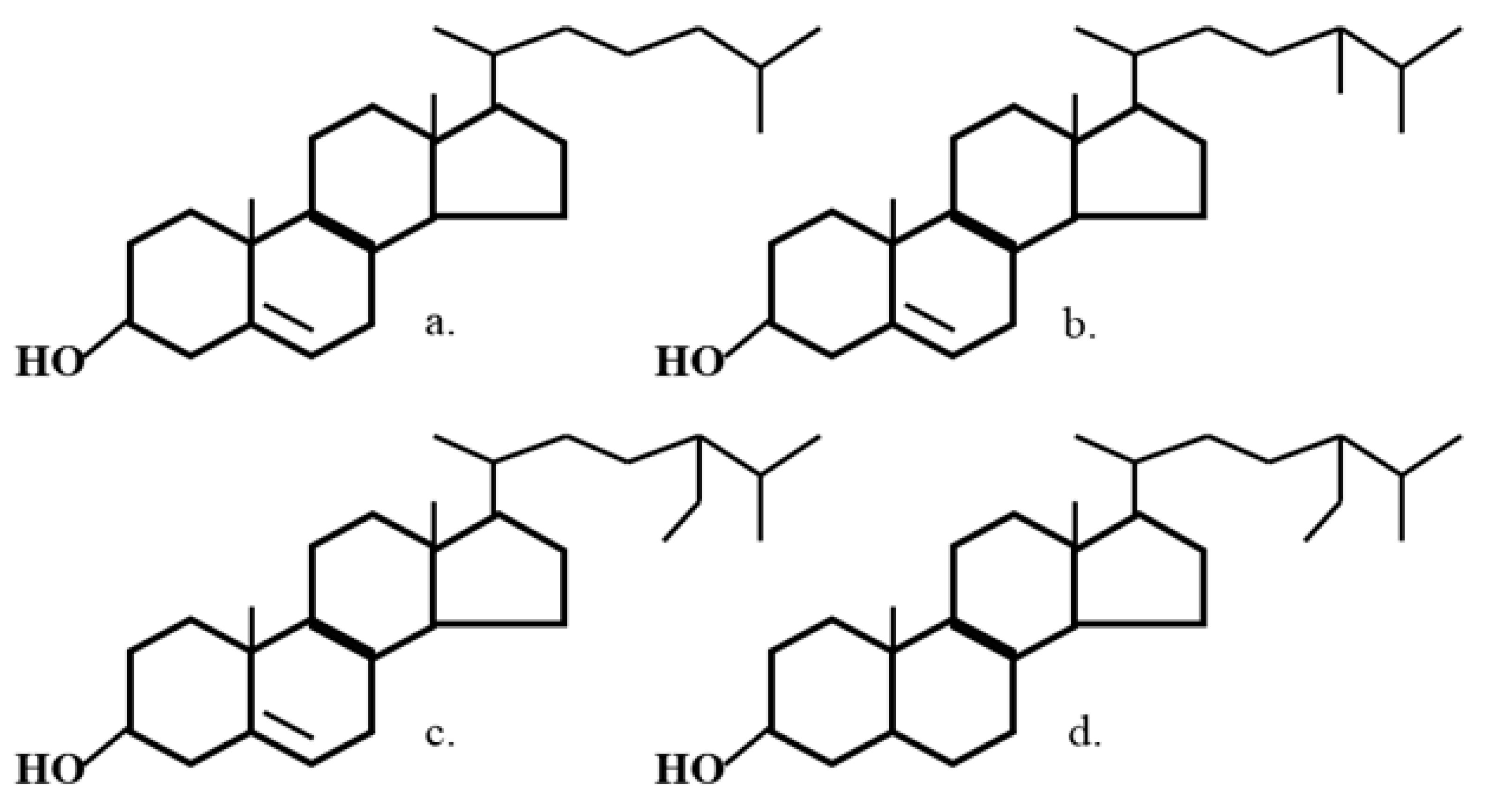 Molecules 25 05363 g001
