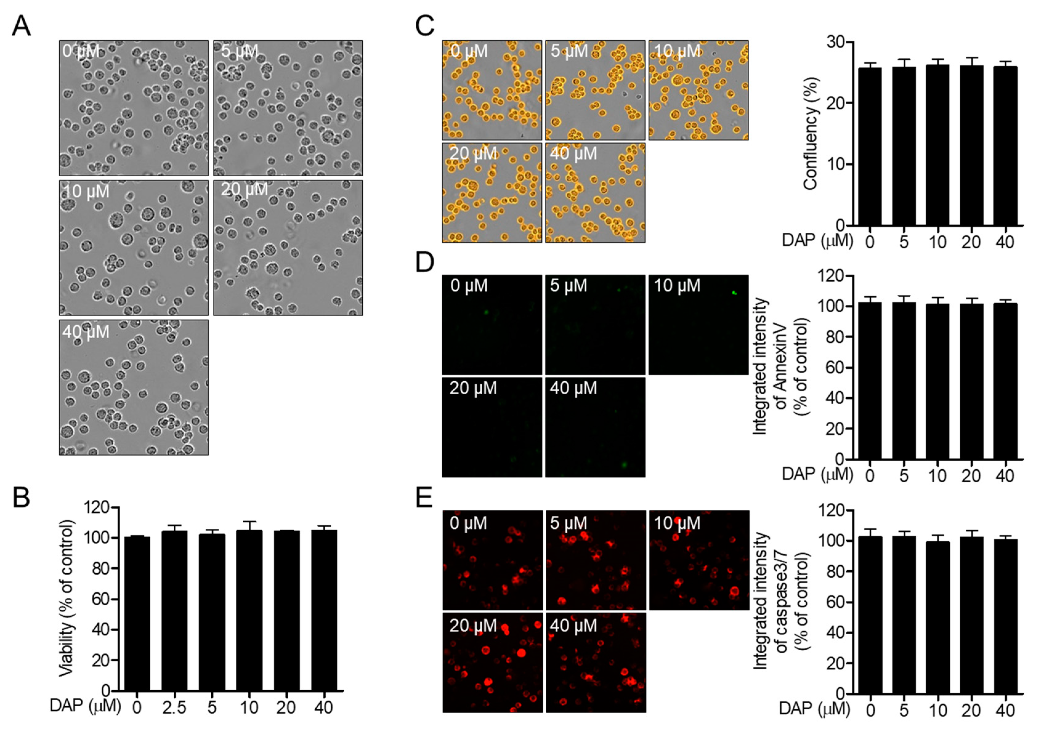 Molecules 25 05374 g002 Molecules 25 05374 g002