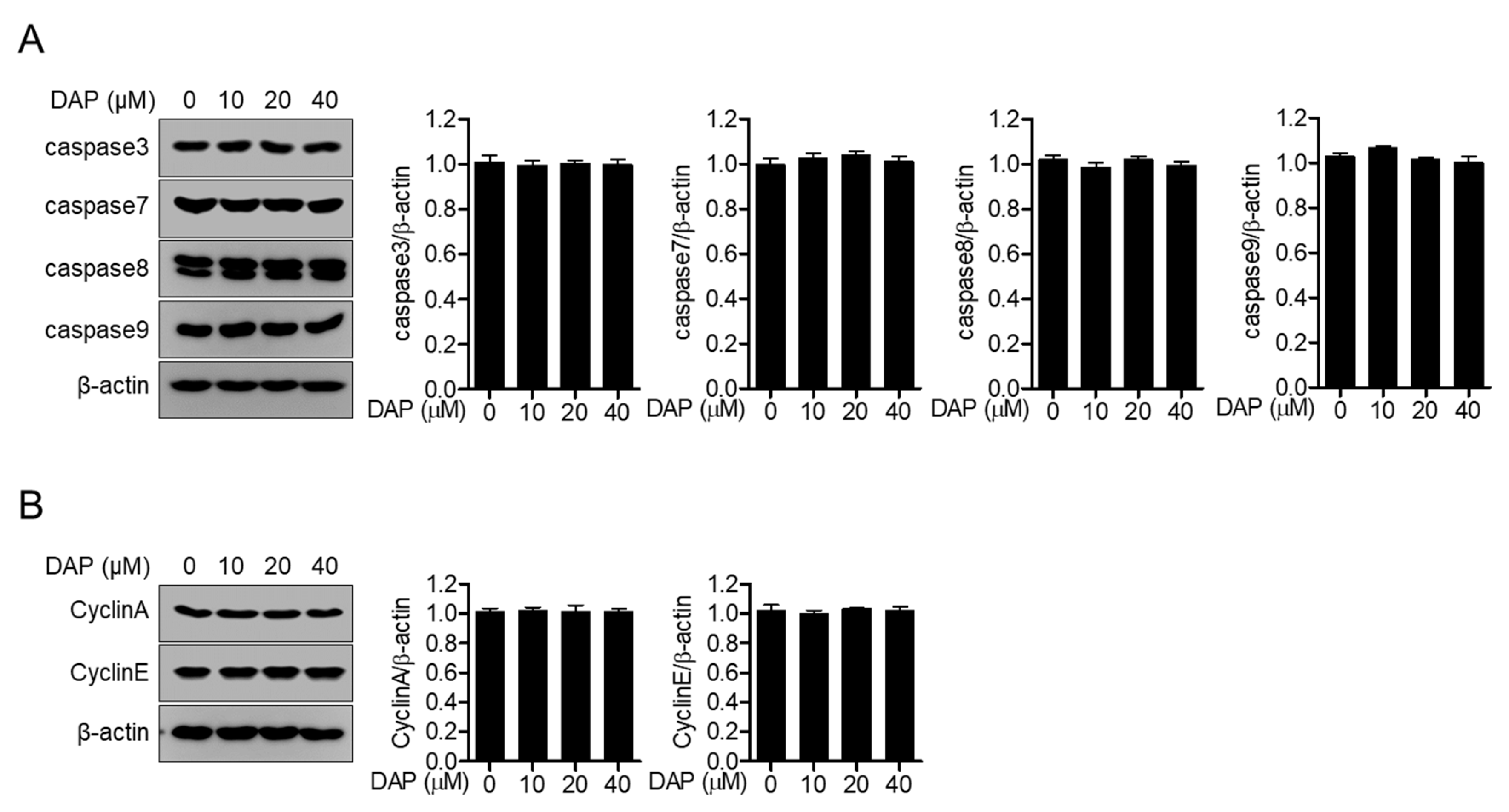 Molecules 25 05374 g003 Molecules 25 05374 g003
