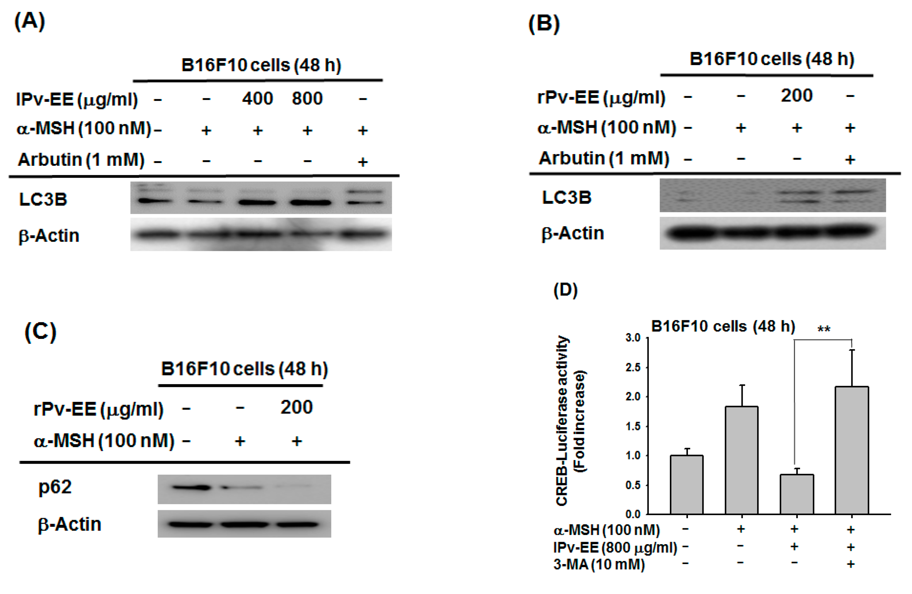 Molecules 25 05375 g004a Molecules 25 05375 g004a