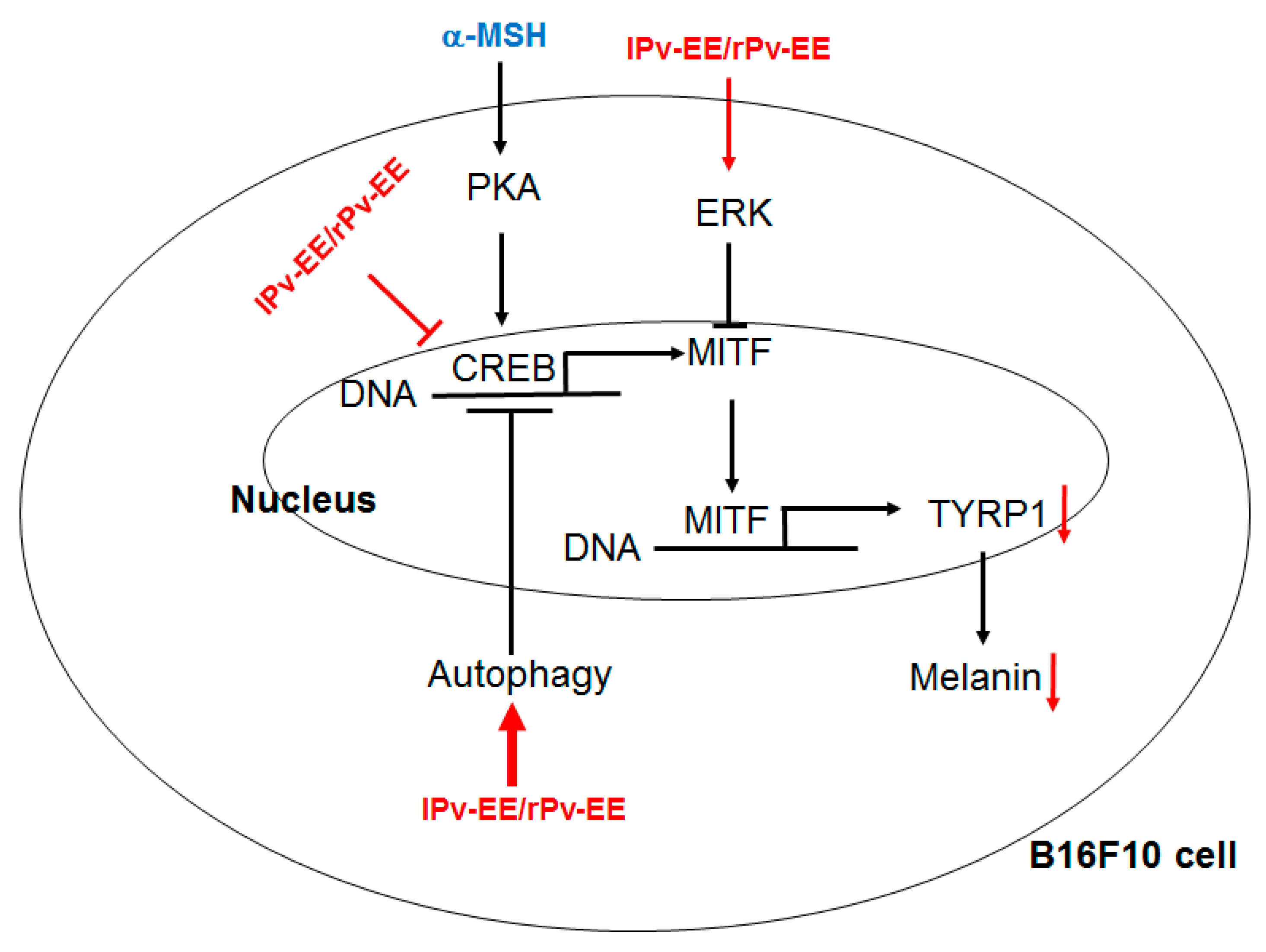 Molecules 25 05375 g005 Molecules 25 05375 g005