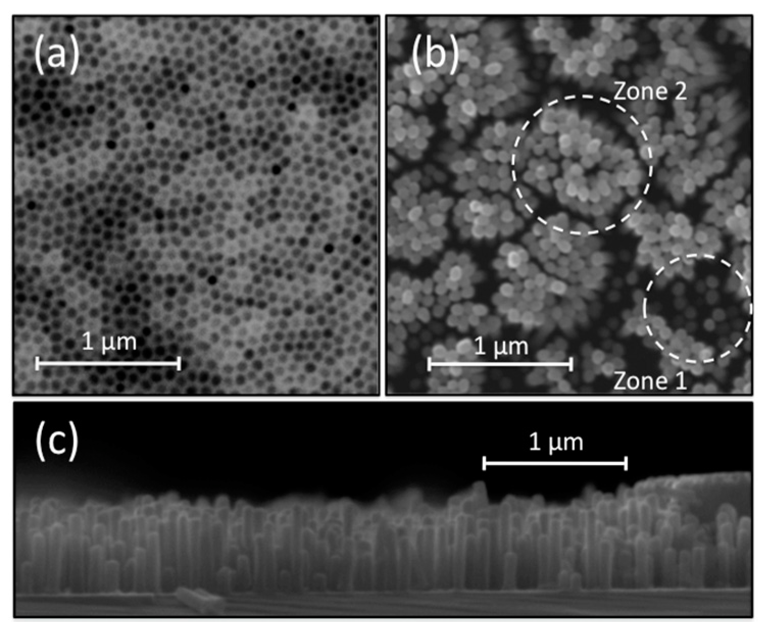 Molecules 25 05377 g001 Molecules 25 05377 g001