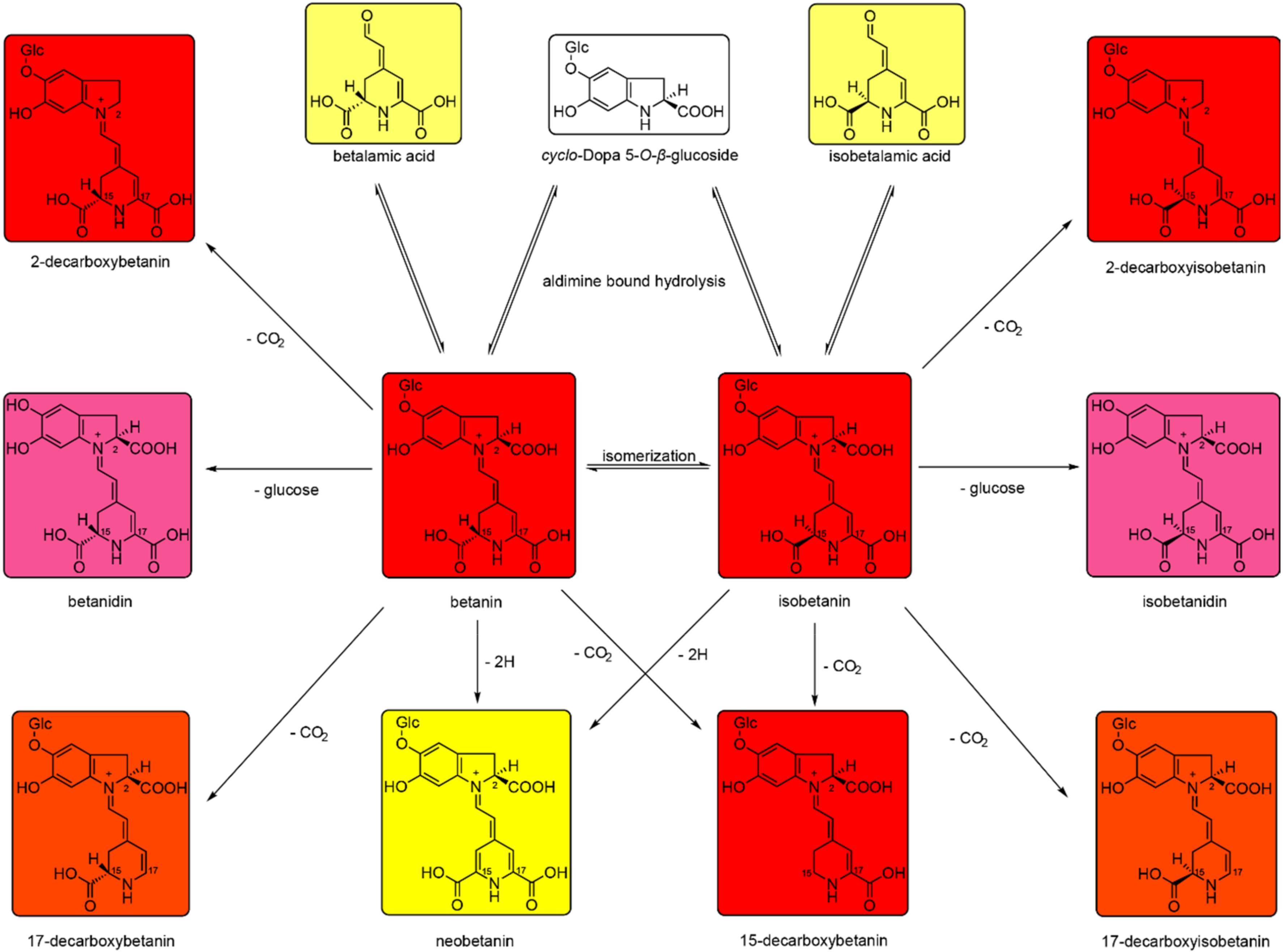 Molecules 25 05395 g006