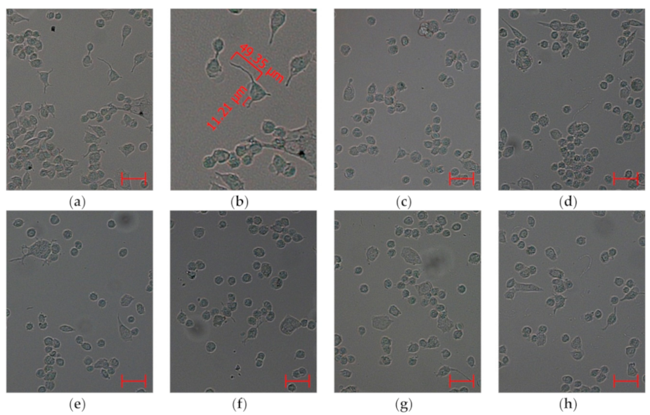 Molecules 25 05397 g005 Molecules 25 05397 g005