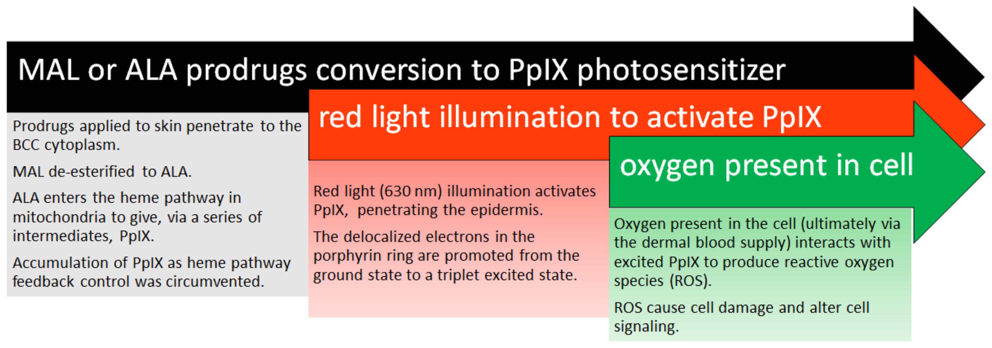 Molecules 25 05398 g002