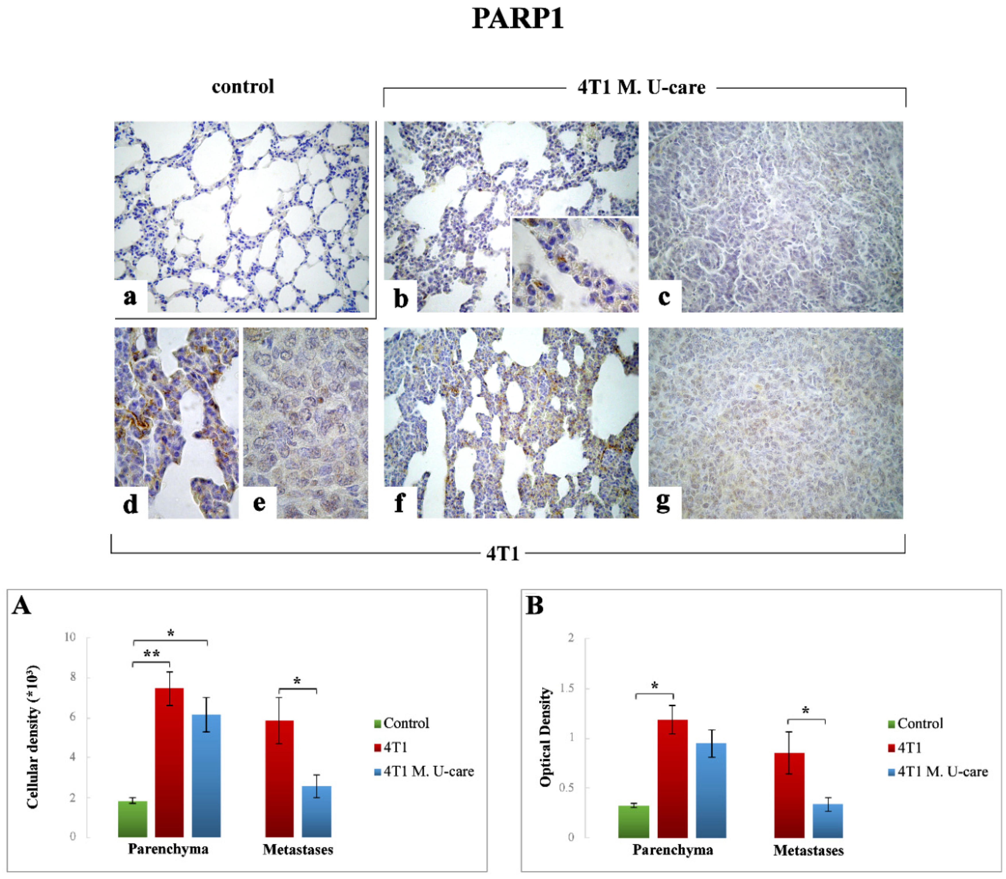 Molecules 25 05400 g003 Molecules 25 05400 g003