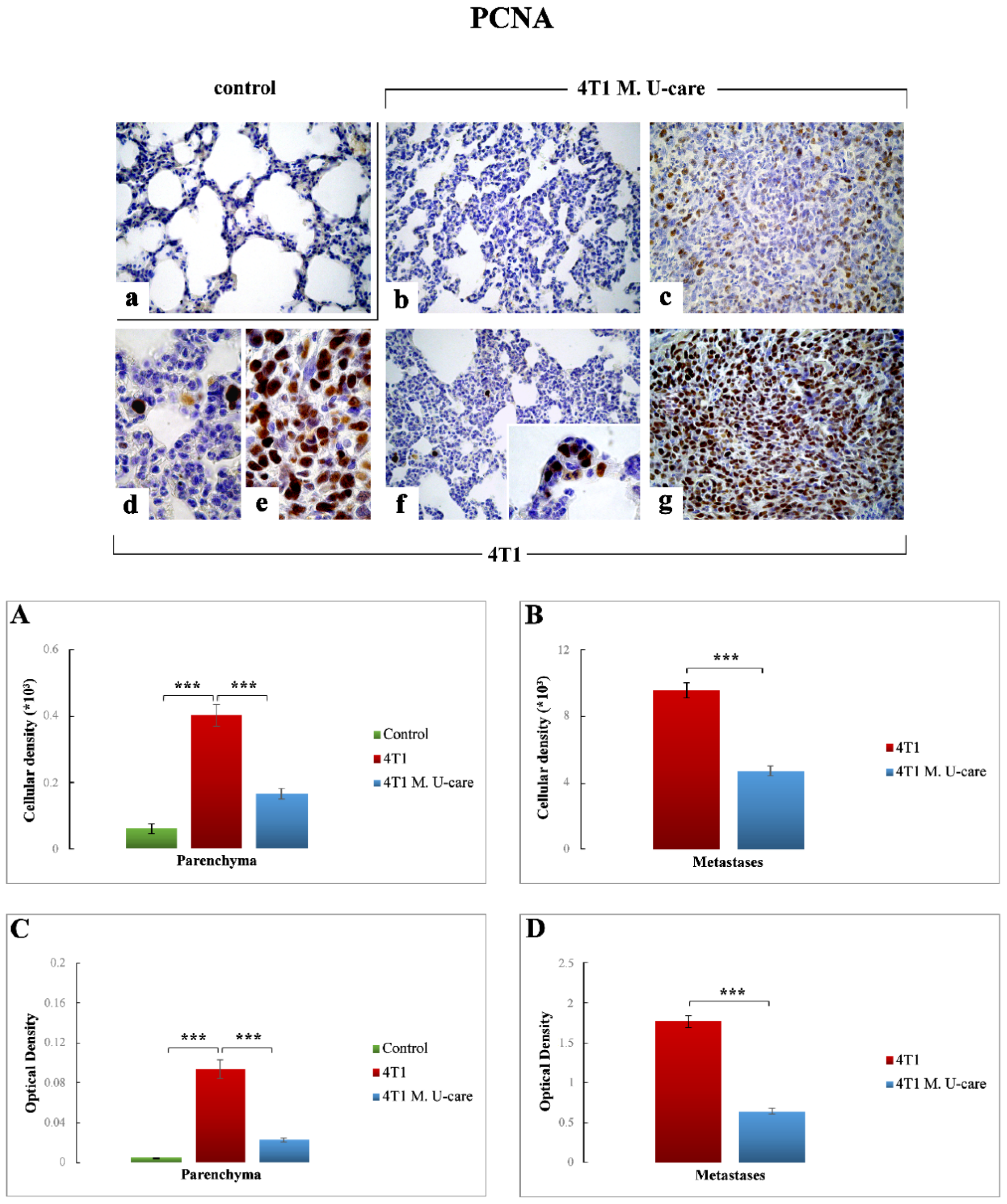 Molecules 25 05400 g007 Molecules 25 05400 g007