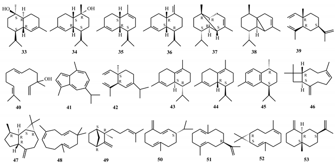 Molecules 25 05401 i005 Molecules 25 05401 i005