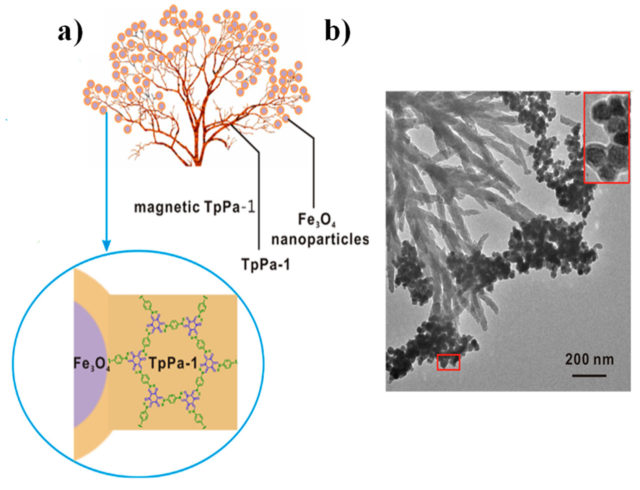 Molecules 25 05404 g001