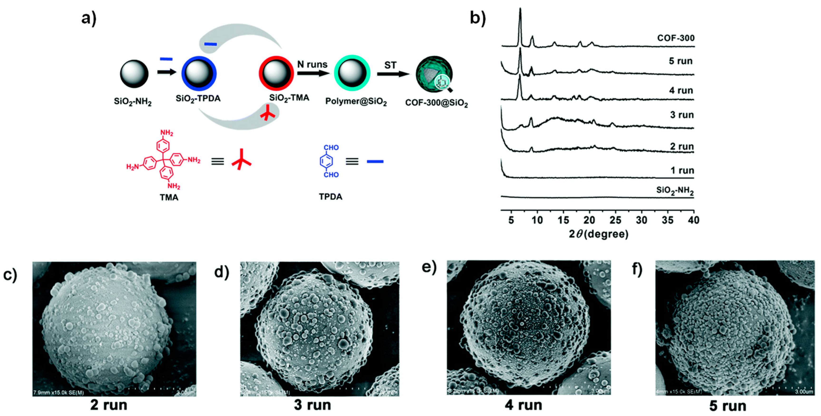 Molecules 25 05404 g005