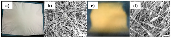 Molecules 25 05404 g014 550