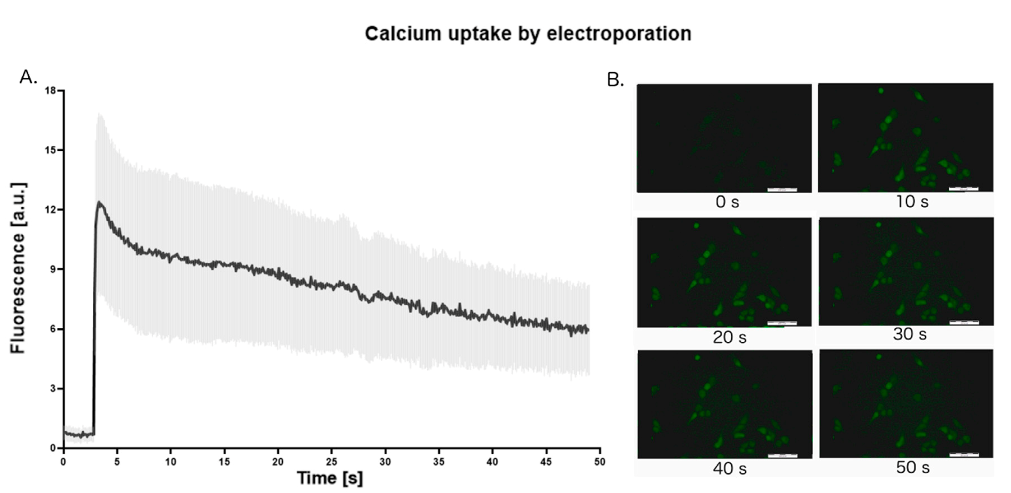 Molecules 25 05406 g004 Molecules 25 05406 g004