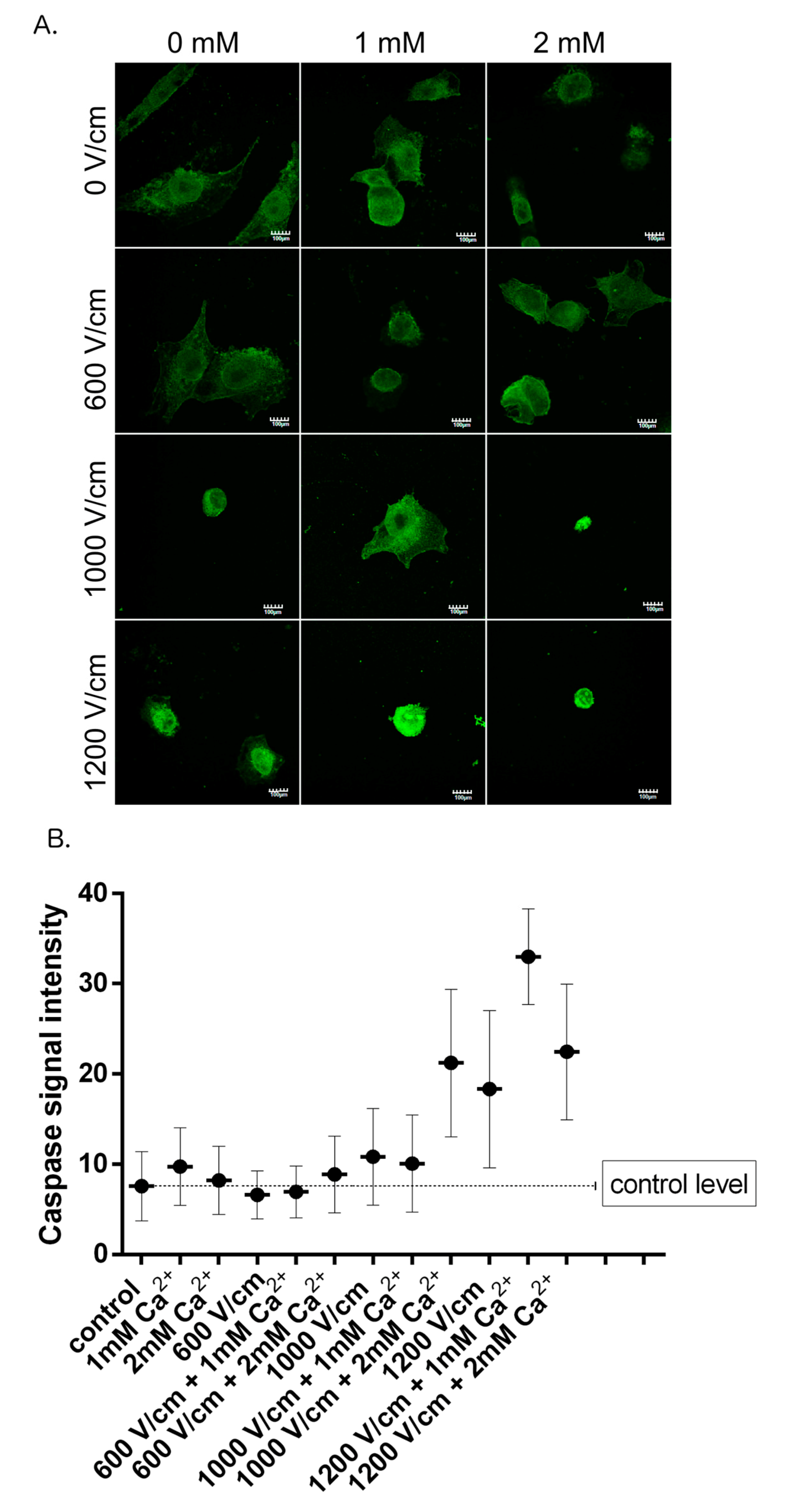 Molecules 25 05406 g006 Molecules 25 05406 g006