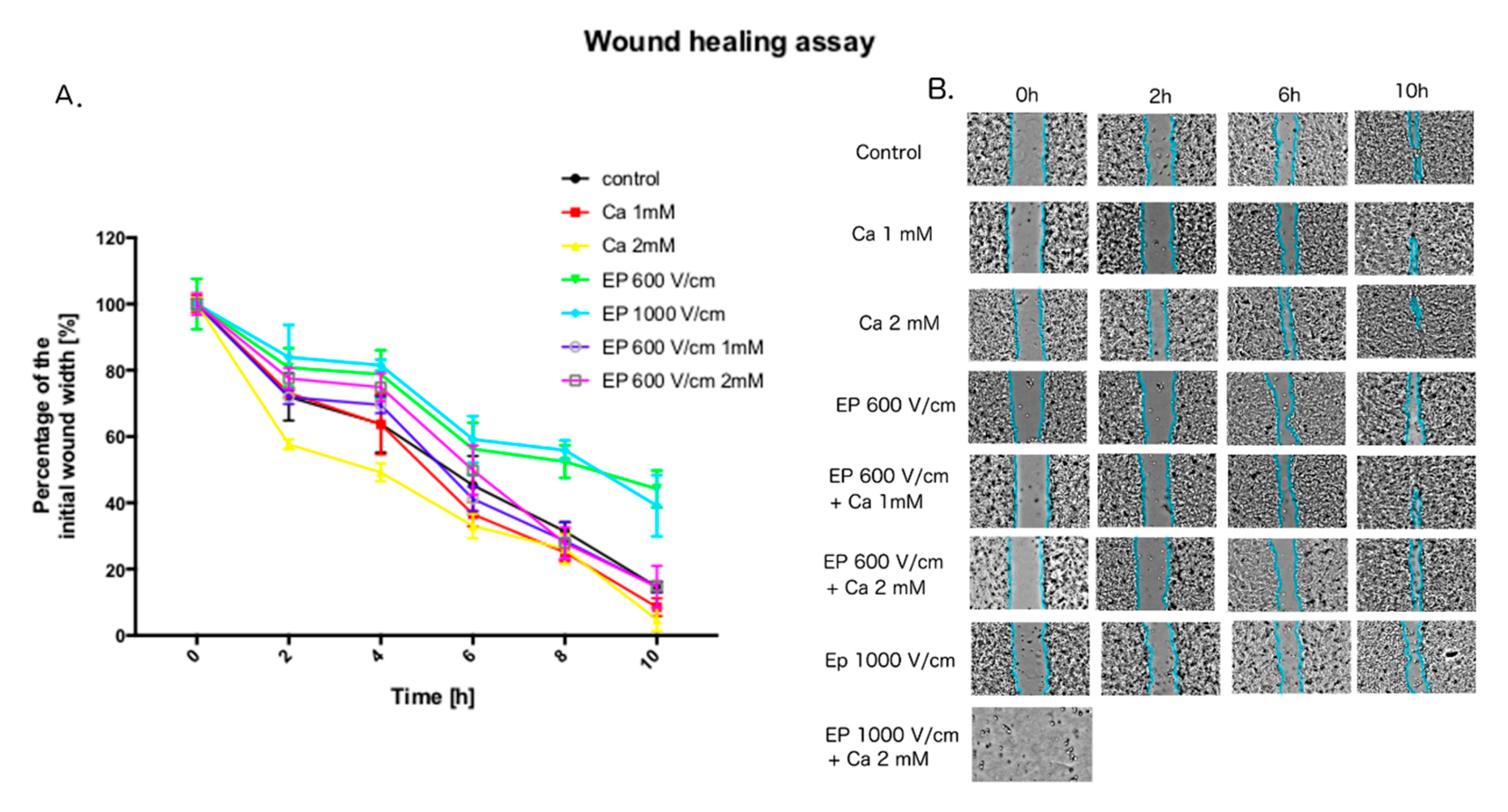 Molecules 25 05406 g007 Molecules 25 05406 g007