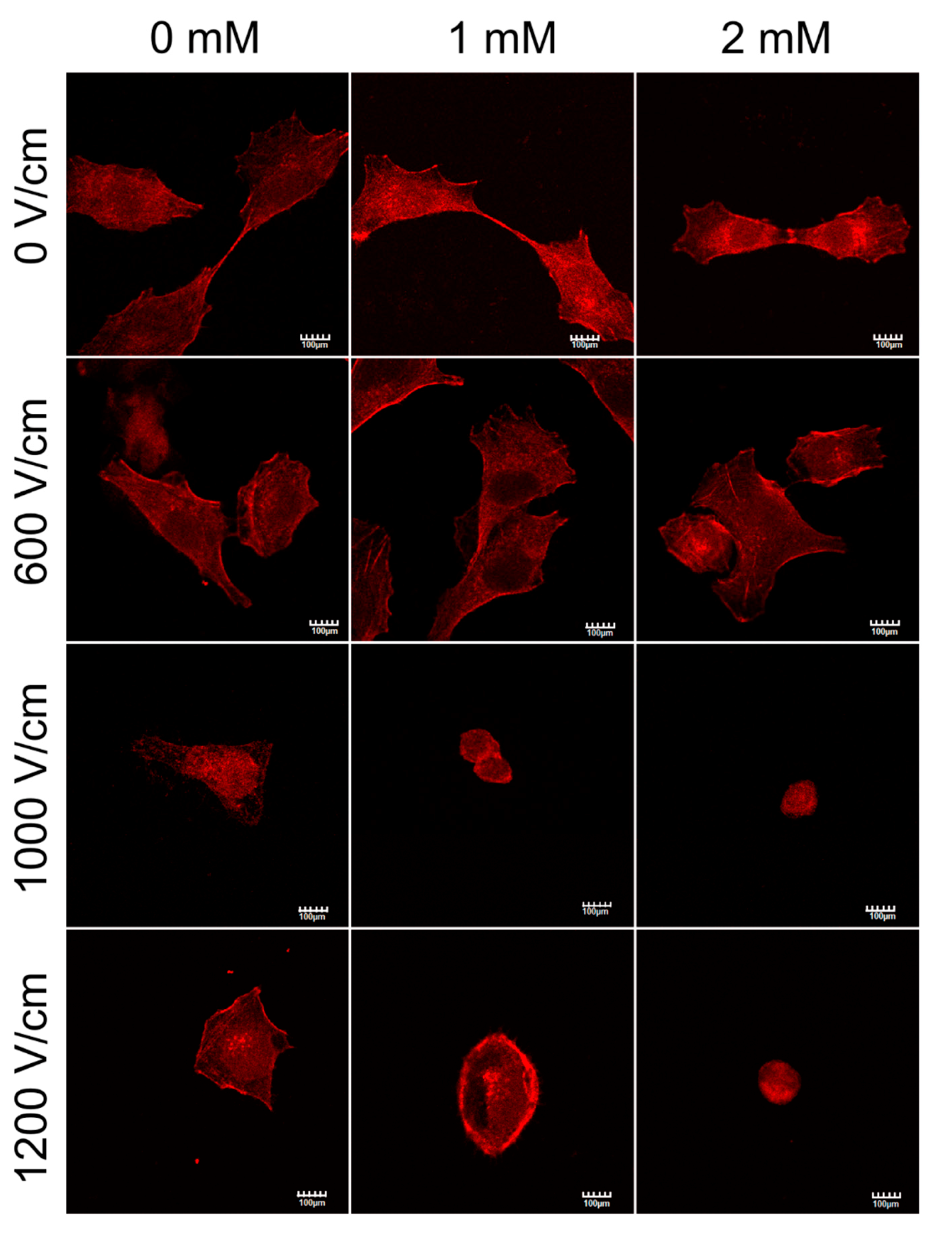Molecules 25 05406 g008 Molecules 25 05406 g008