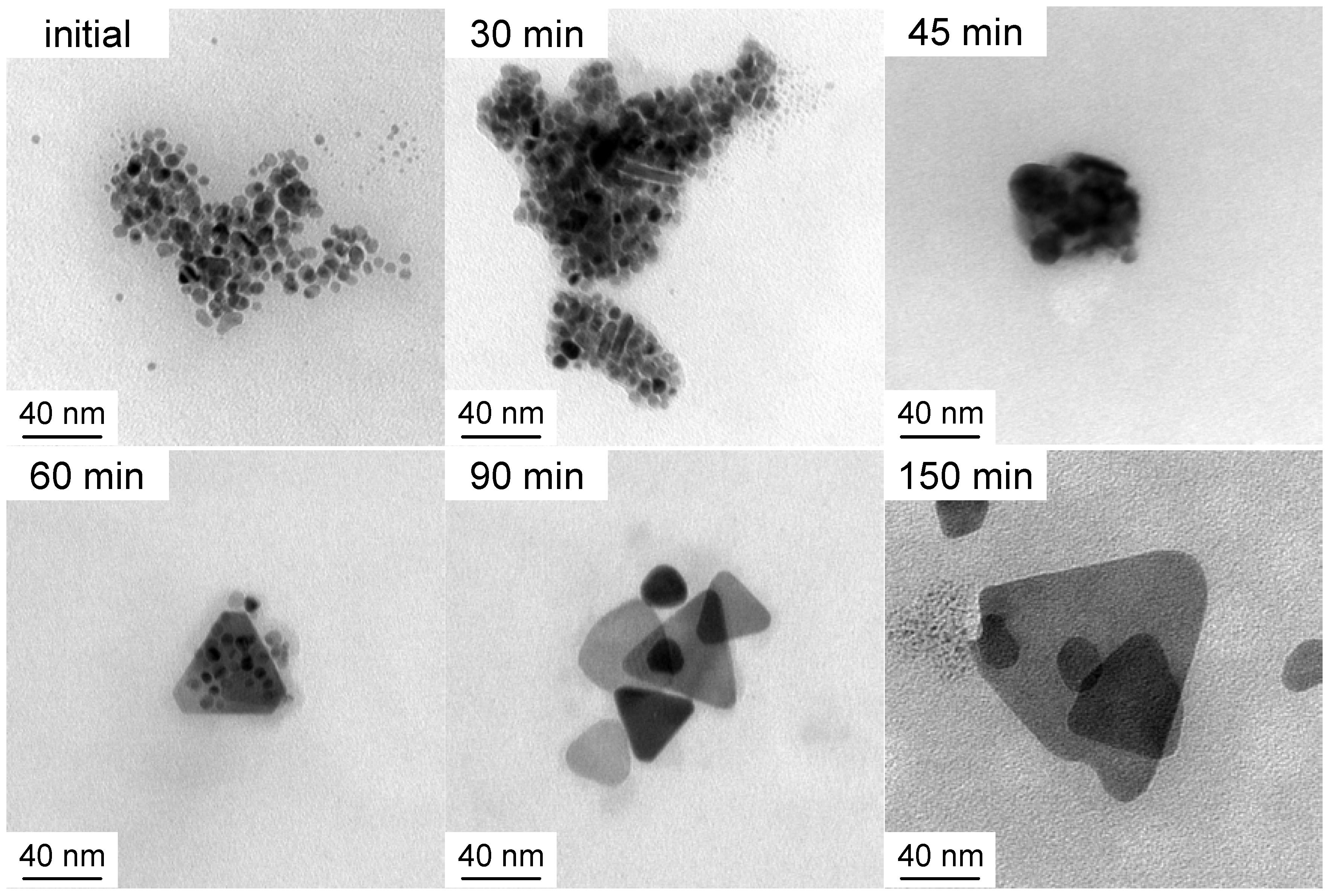 Molecules 25 05413 g001