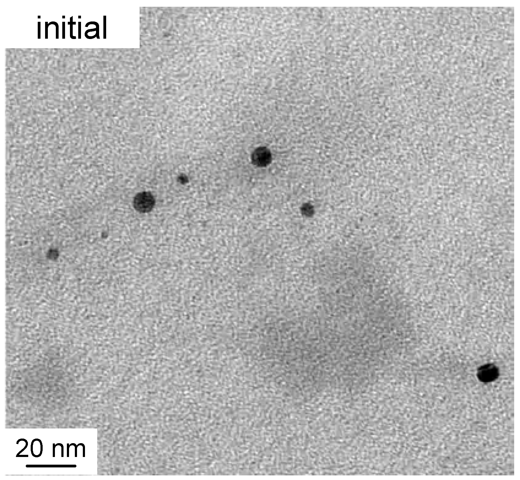 Molecules 25 05413 g002