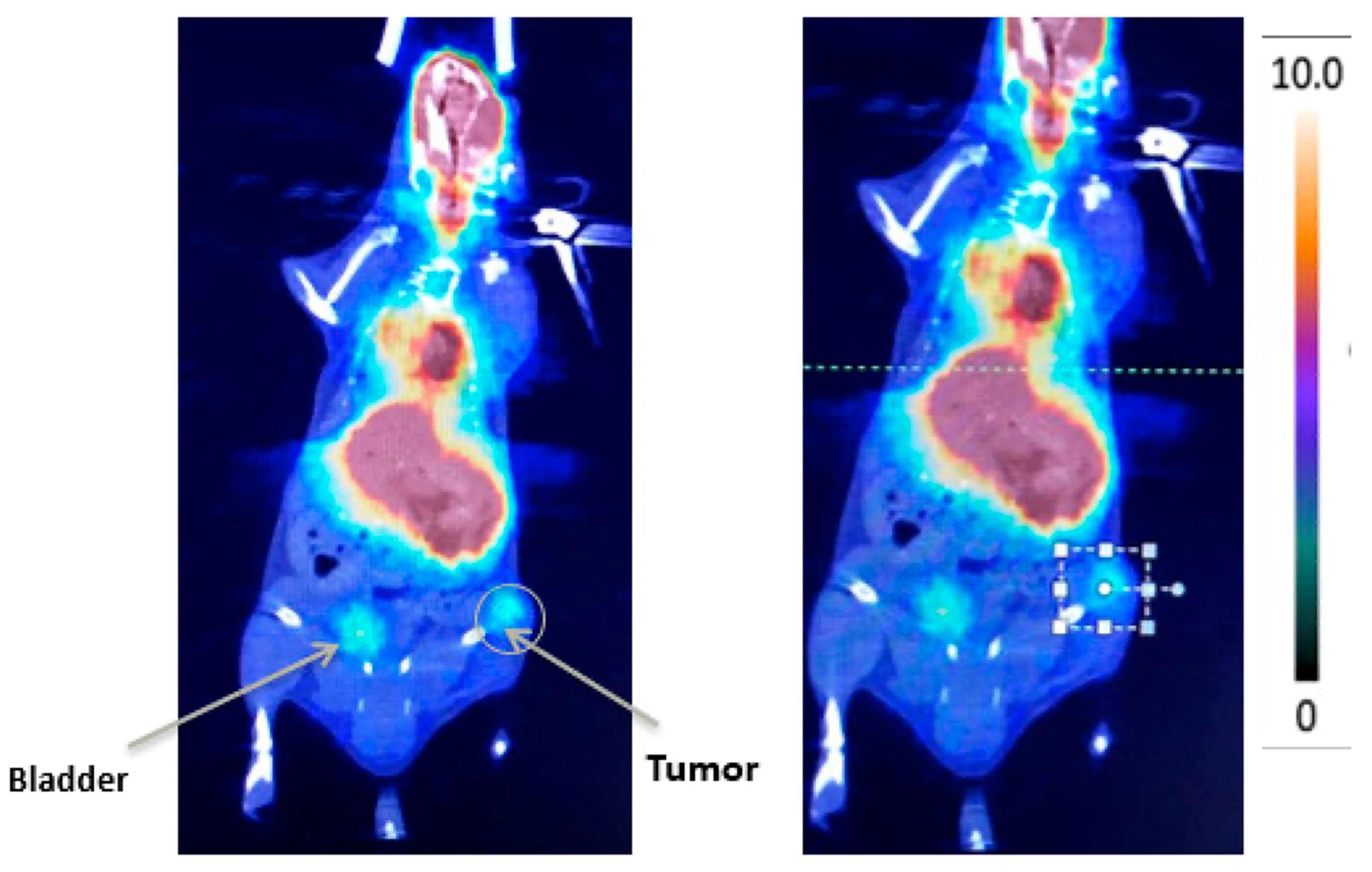Molecules 25 05417 g001