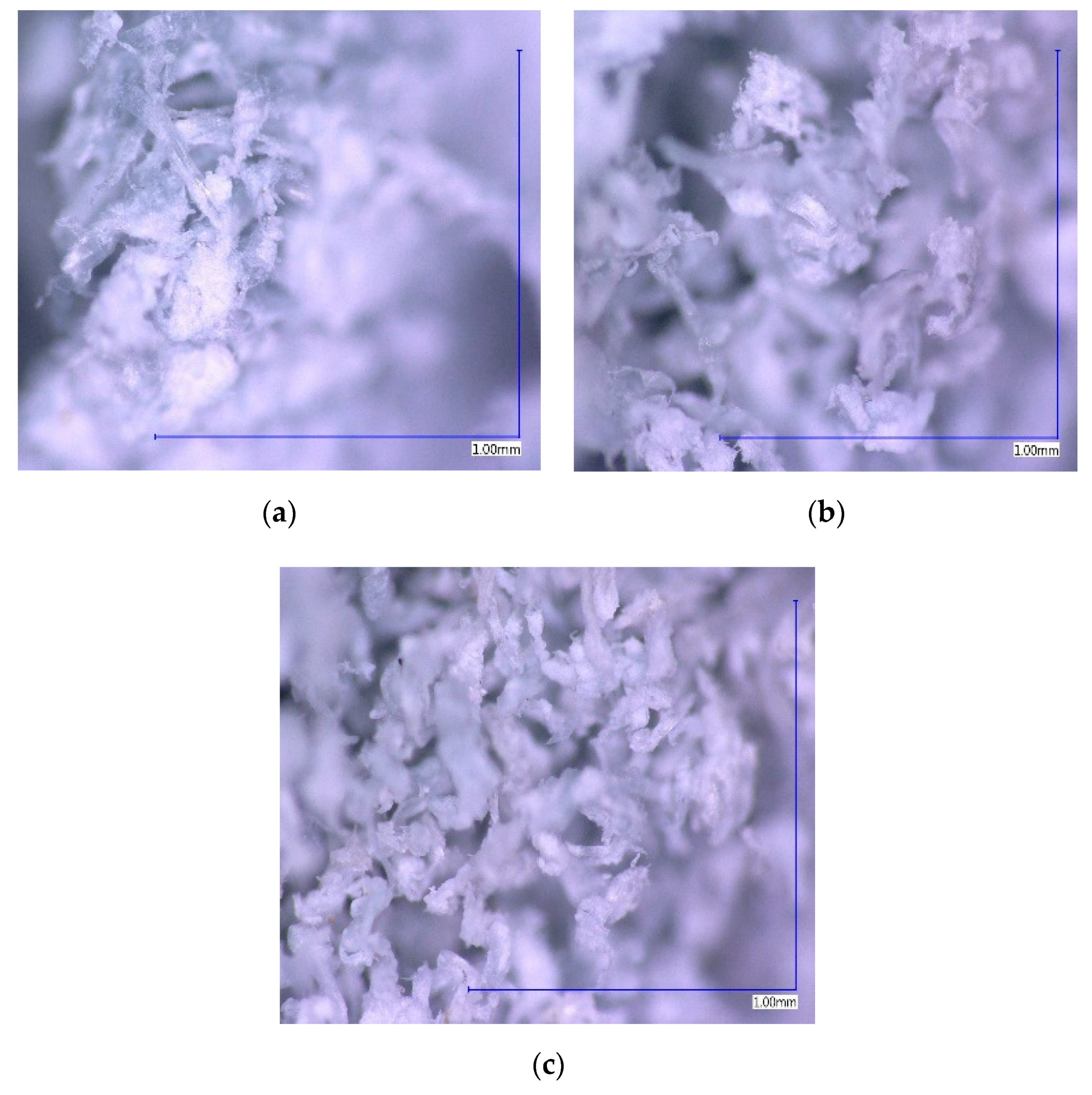 Molecules 25 05419 g001 Molecules 25 05419 g001
