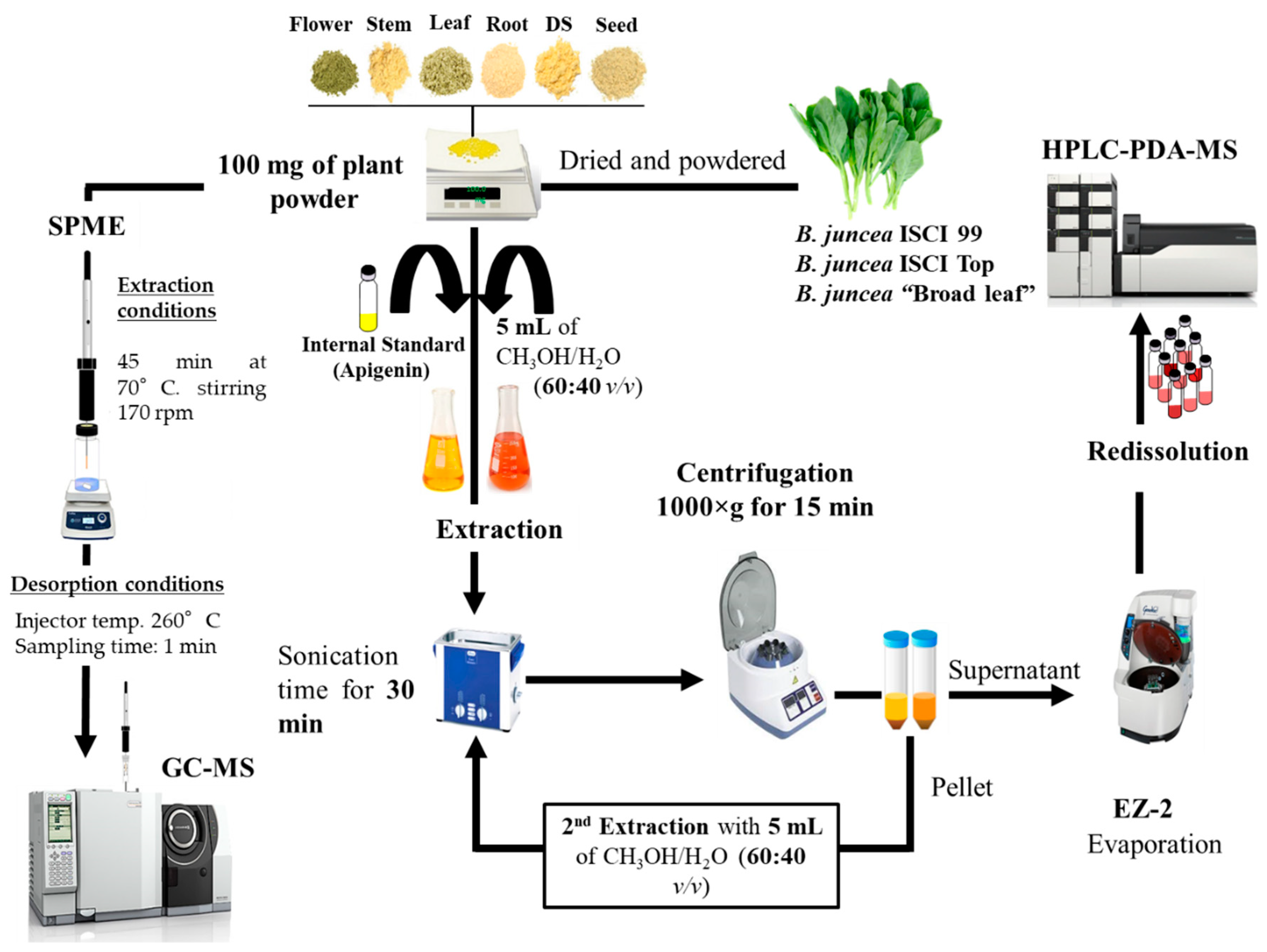 Molecules 25 05421 g004 Molecules 25 05421 g004