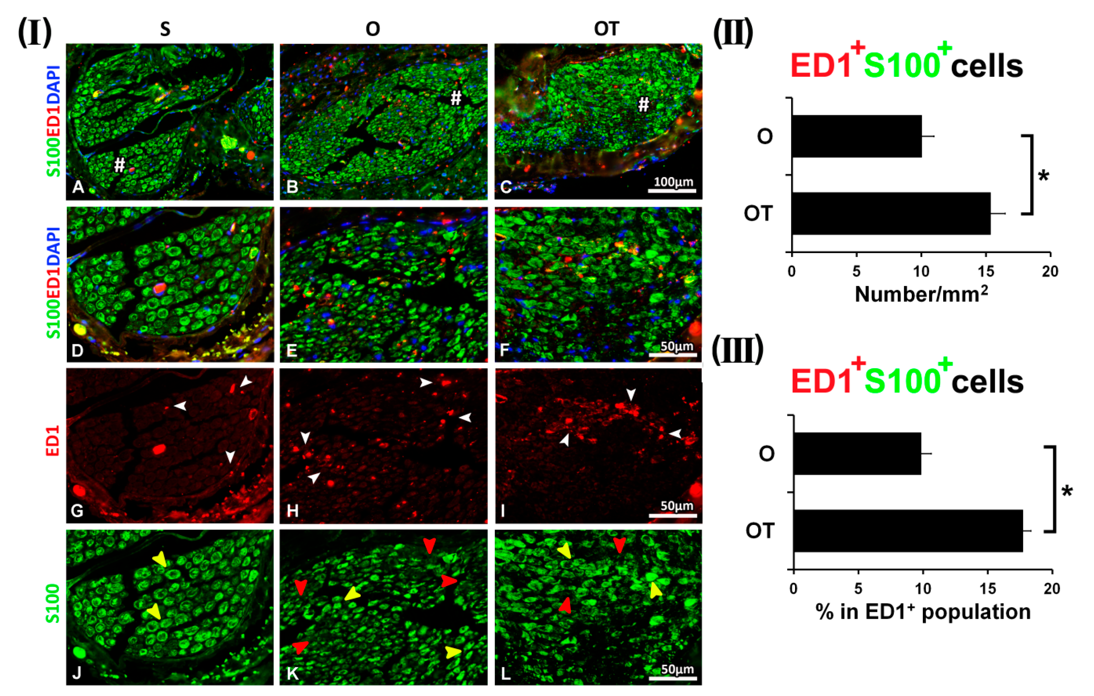 Molecules 25 05426 g001 Molecules 25 05426 g001