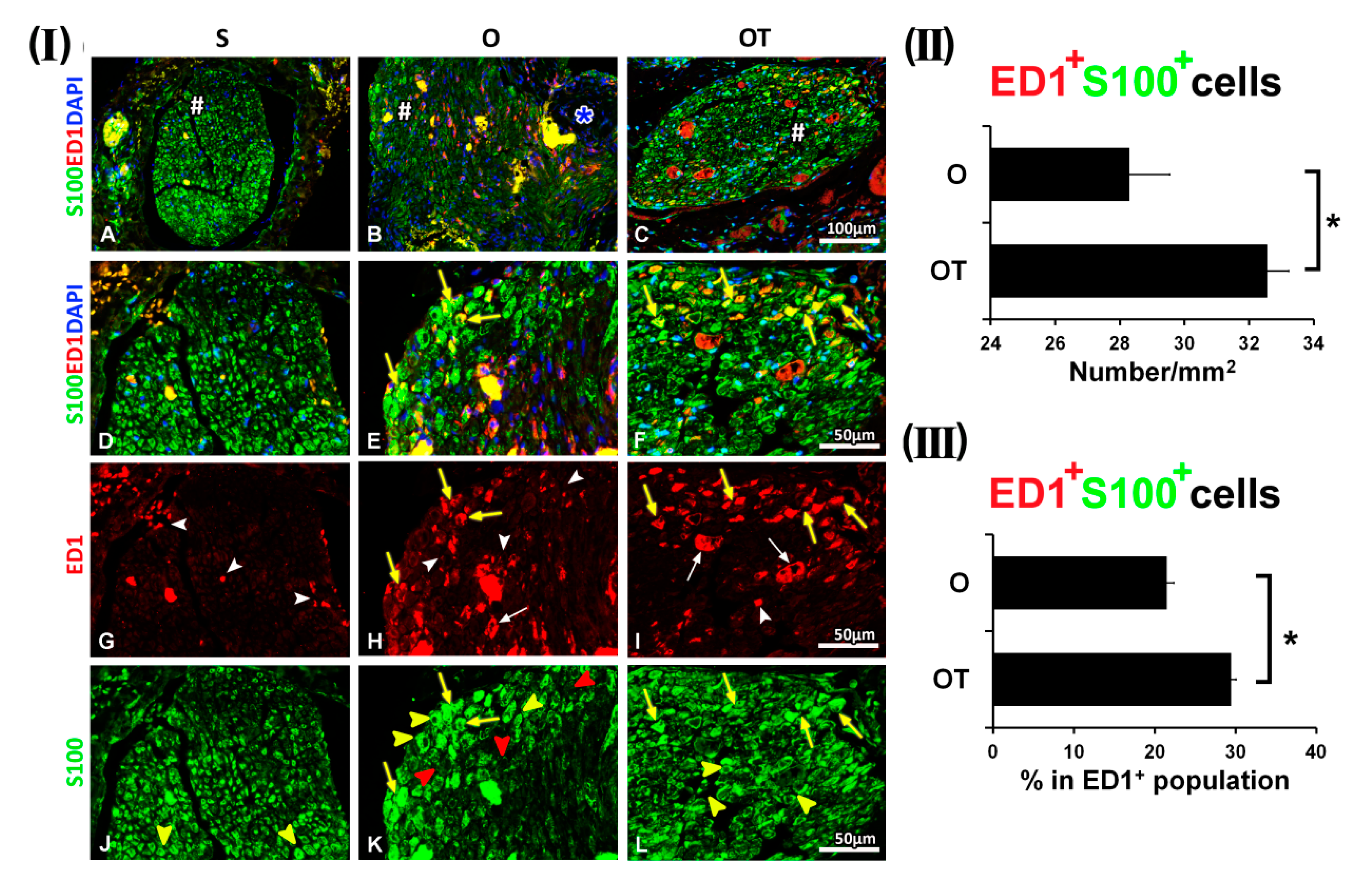 Molecules 25 05426 g002 Molecules 25 05426 g002