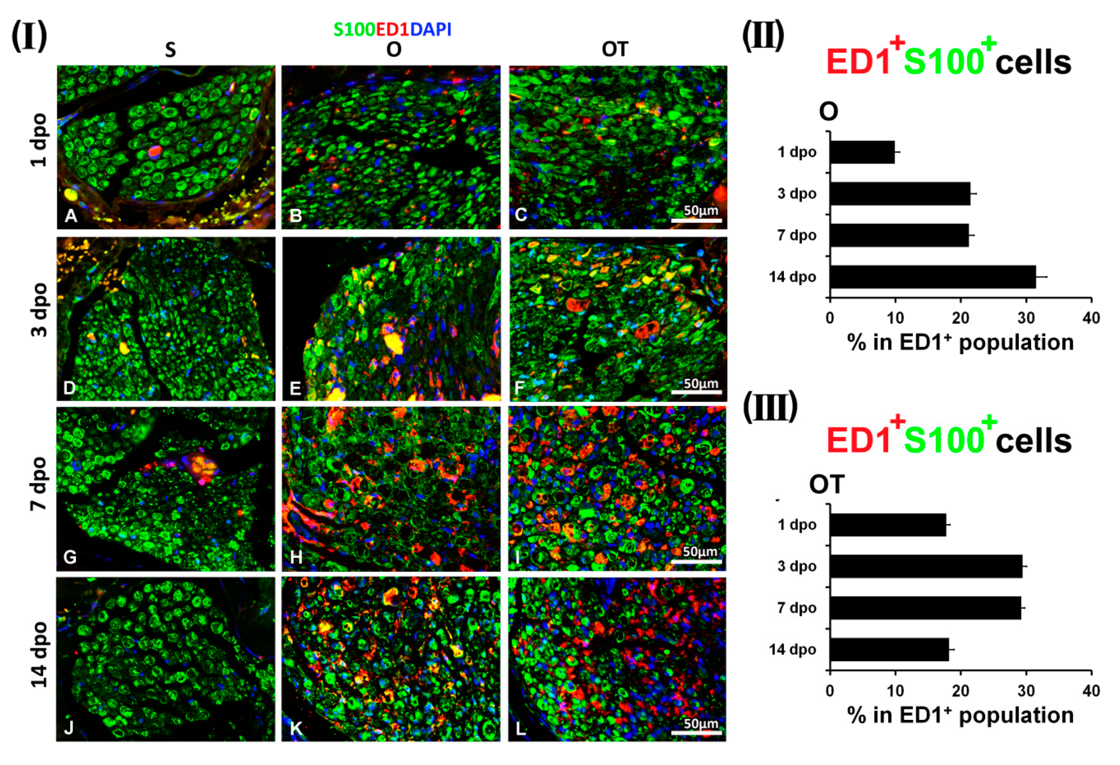 Molecules 25 05426 g006 Molecules 25 05426 g006