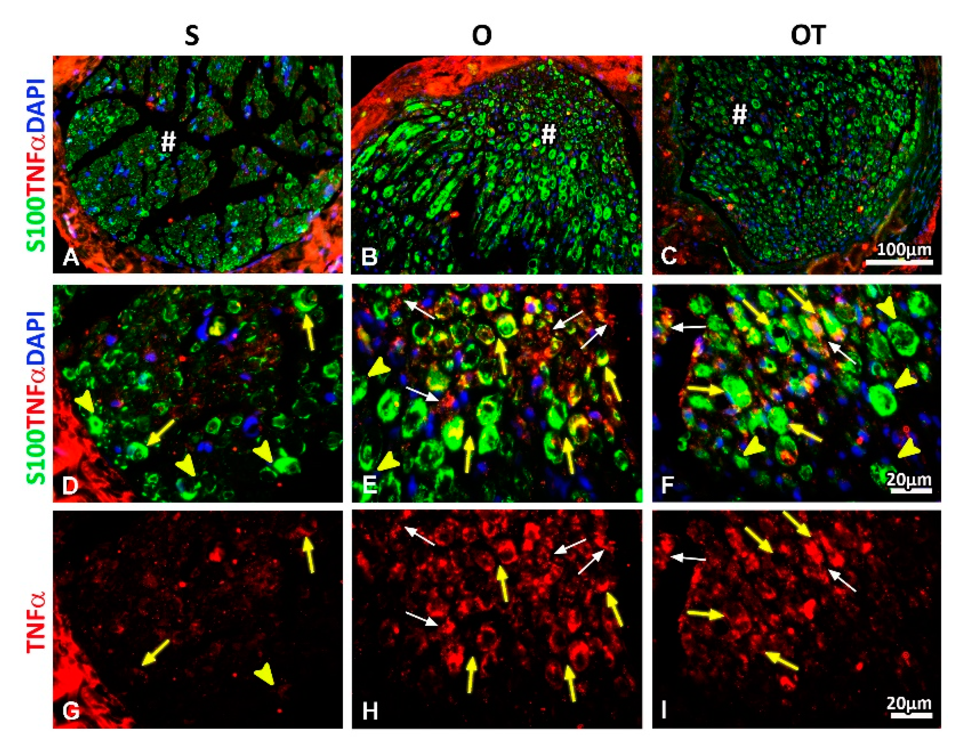 Molecules 25 05426 g007 Molecules 25 05426 g007