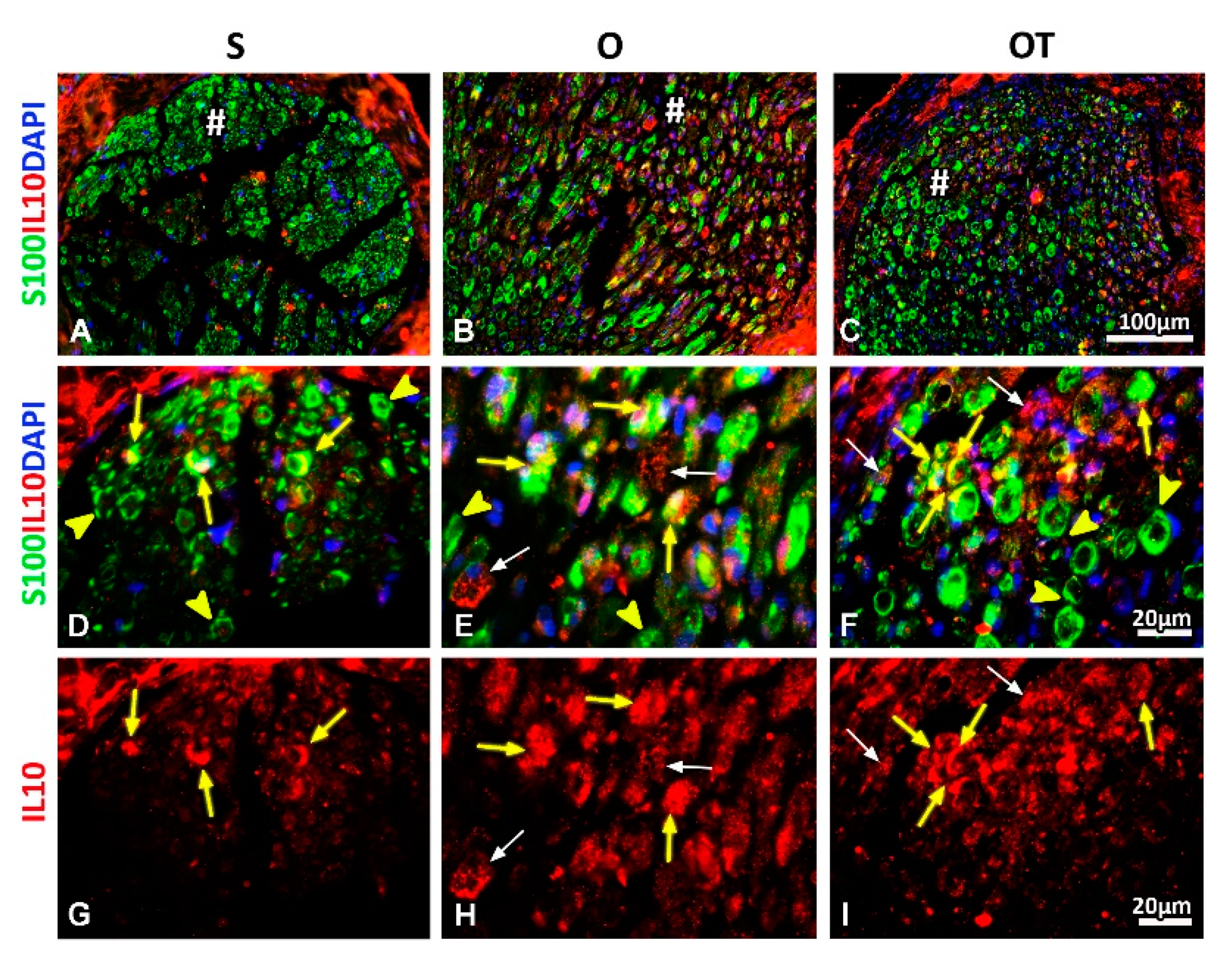 Molecules 25 05426 g008 Molecules 25 05426 g008