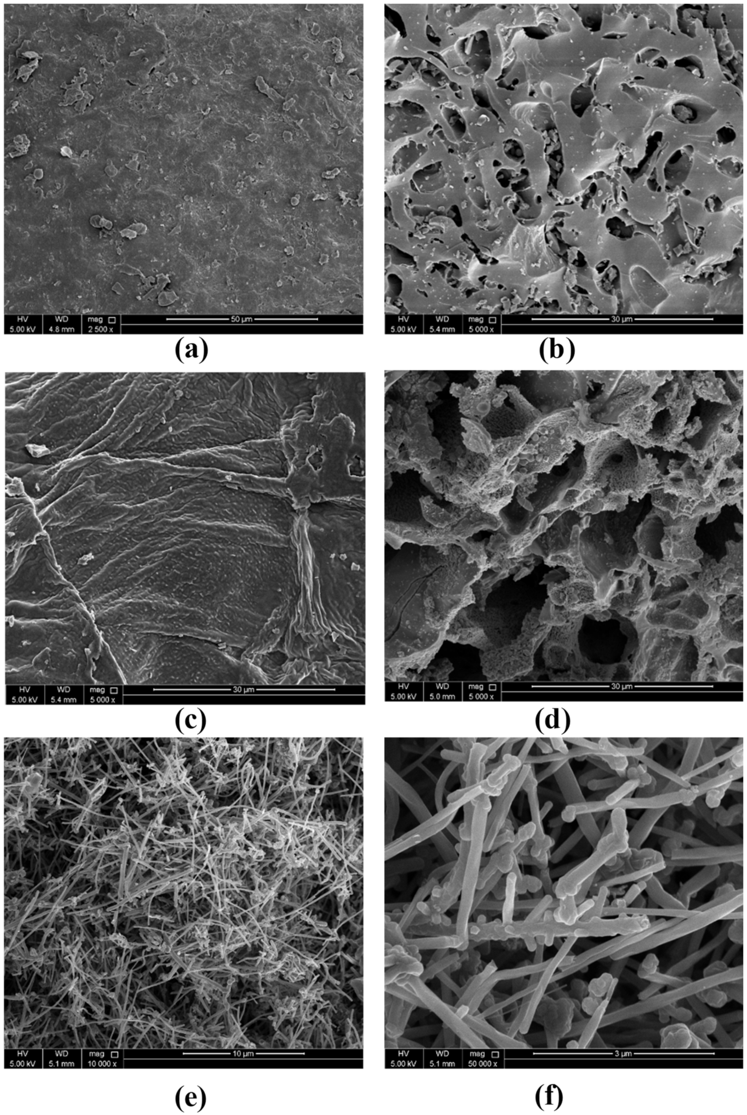 Molecules 25 05429 g009 Molecules 25 05429 g009