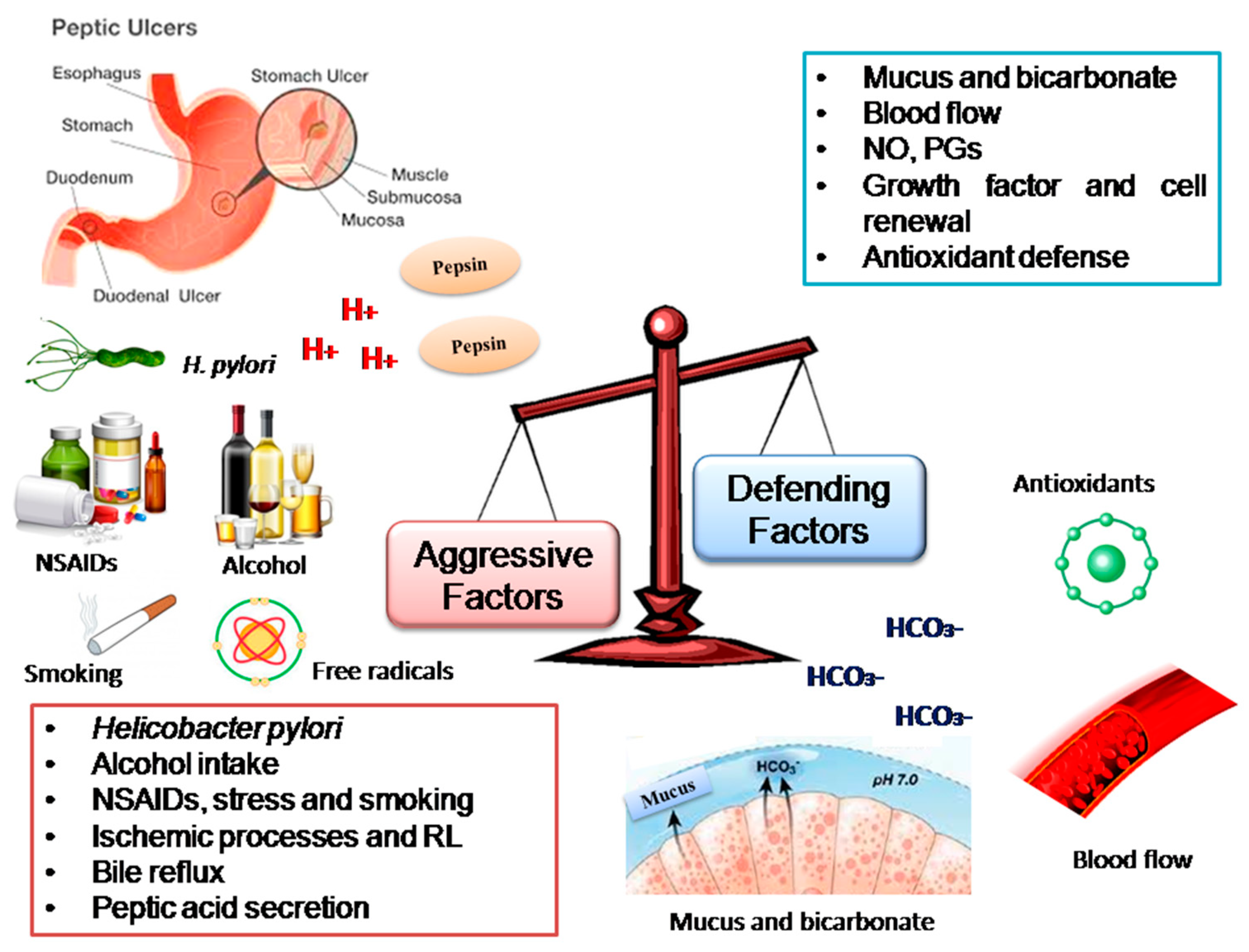 Molecules | Free Full-Text | A Review of the Role of Flavonoids in Peptic Ulcer (2010–2020)