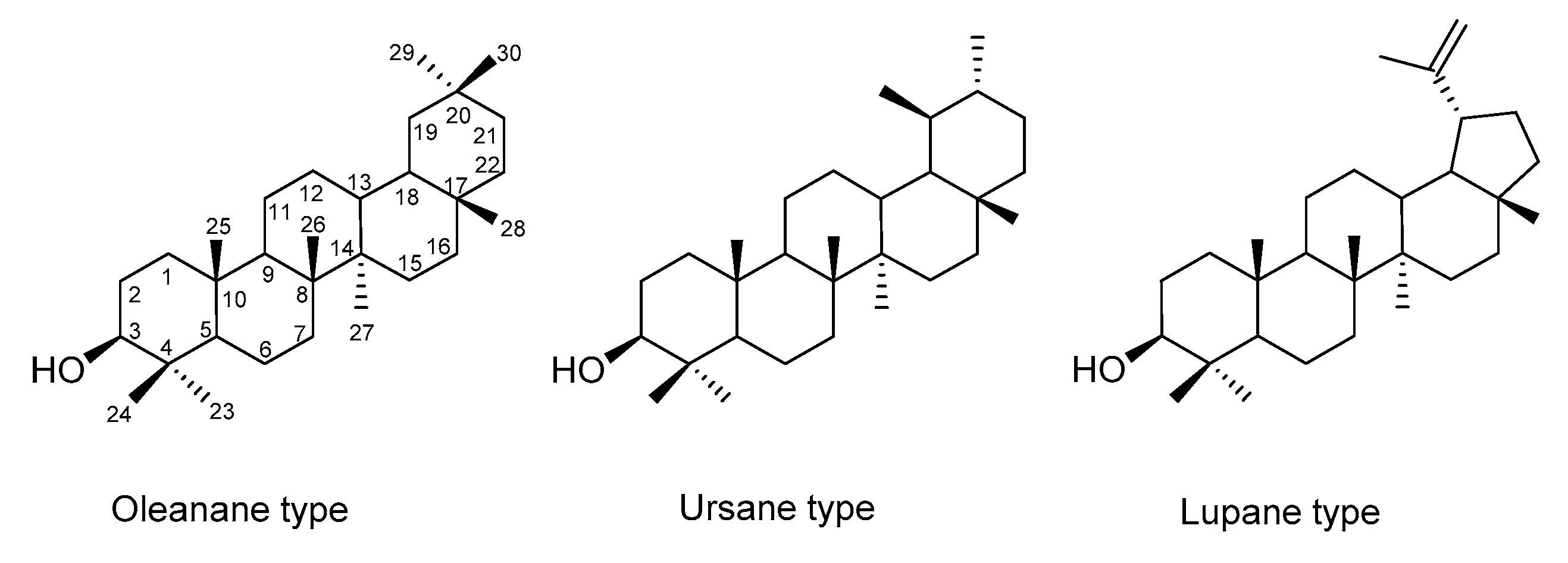 Molecules 25 05433 g001