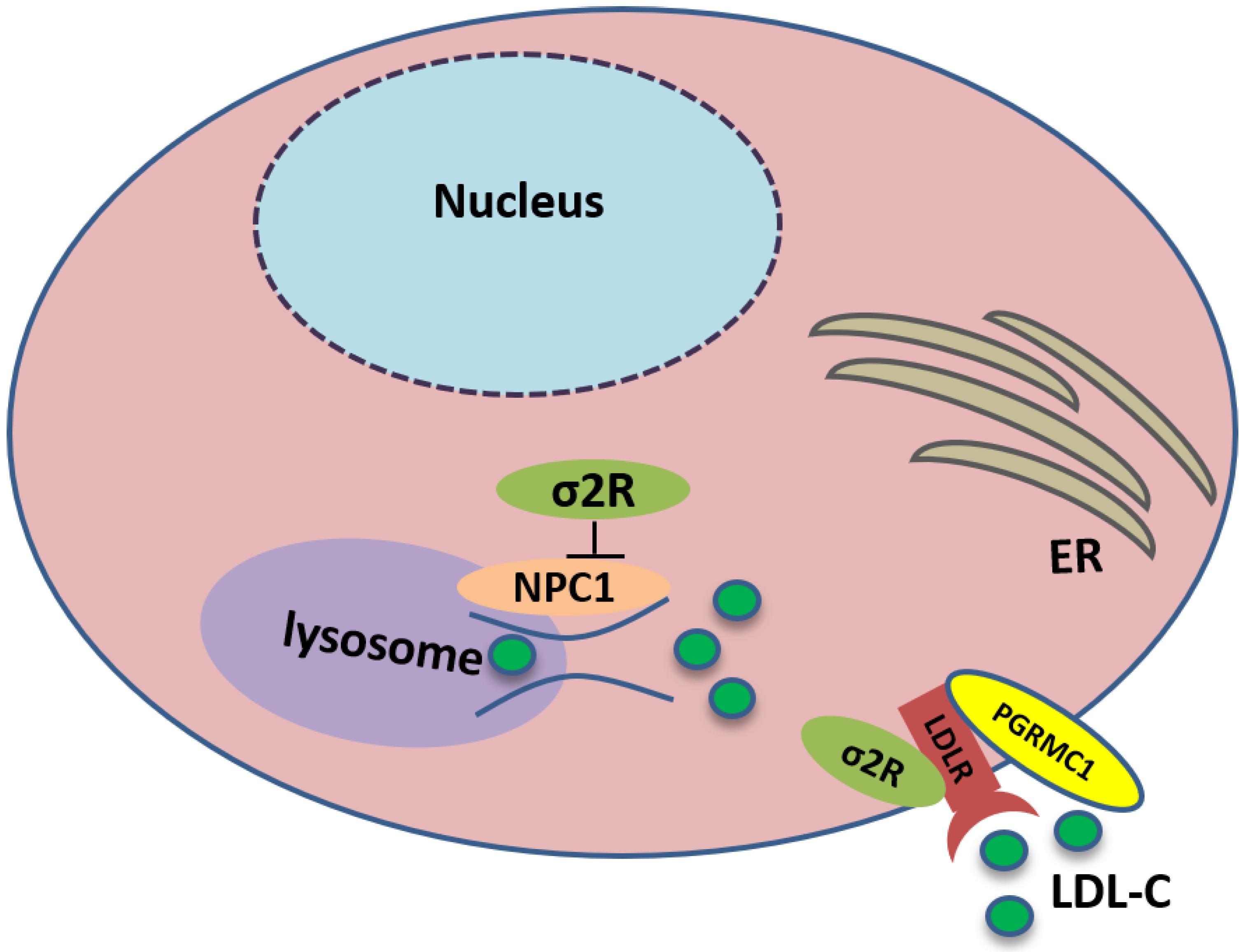 Molecules 25 05439 g003 Molecules 25 05439 g003