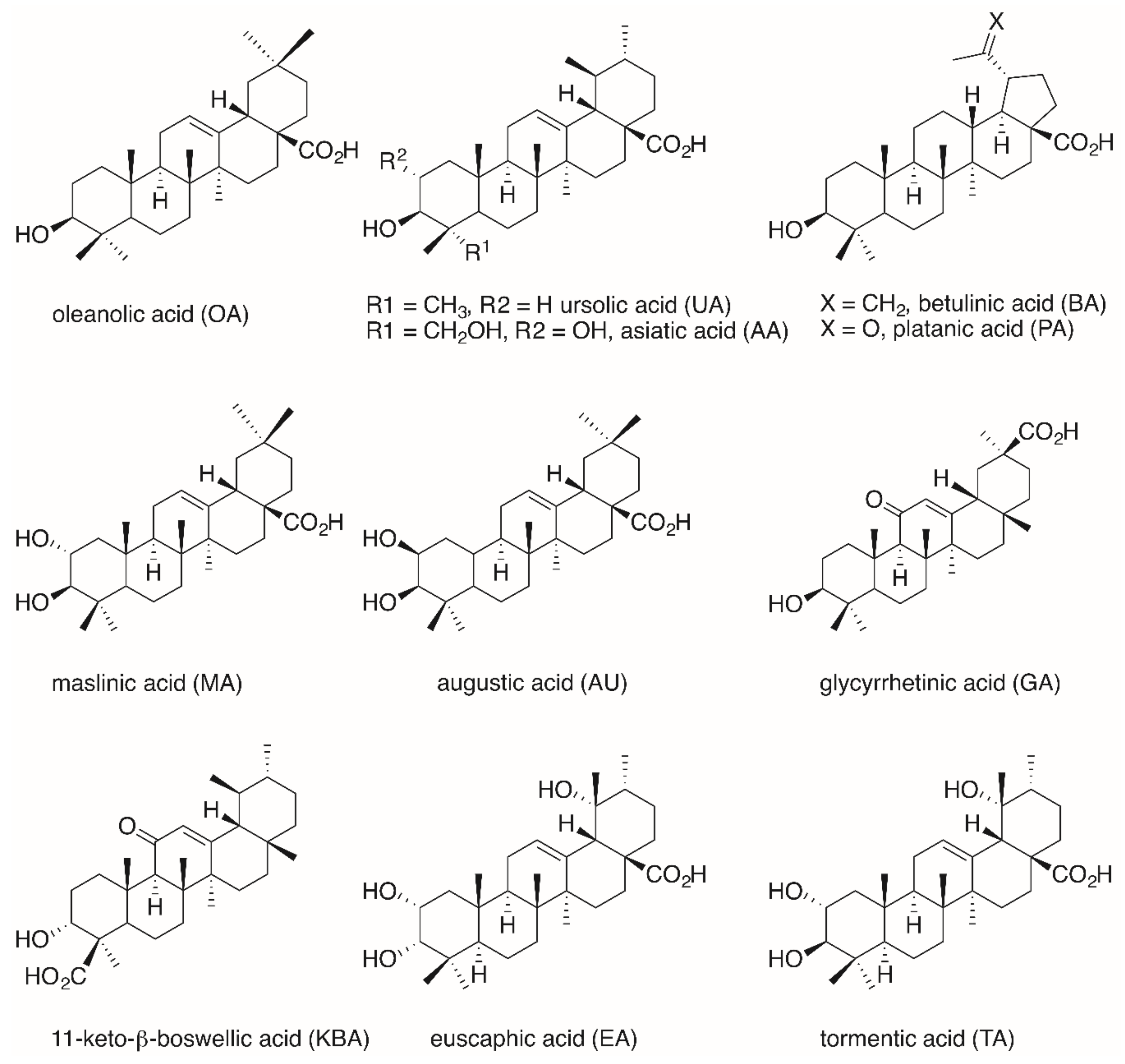 Molecules 25 05443 g002 Molecules 25 05443 g002