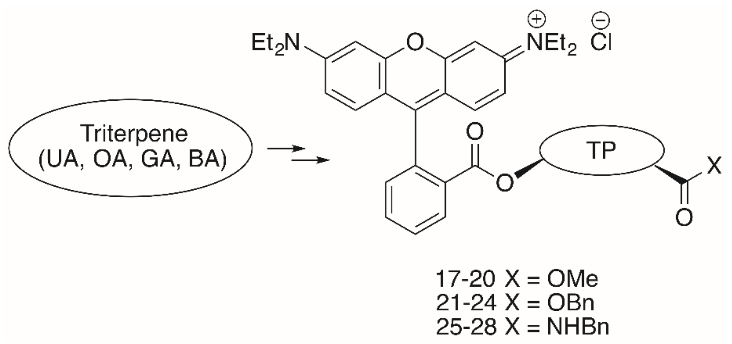 Molecules 25 05443 g007 Molecules 25 05443 g007