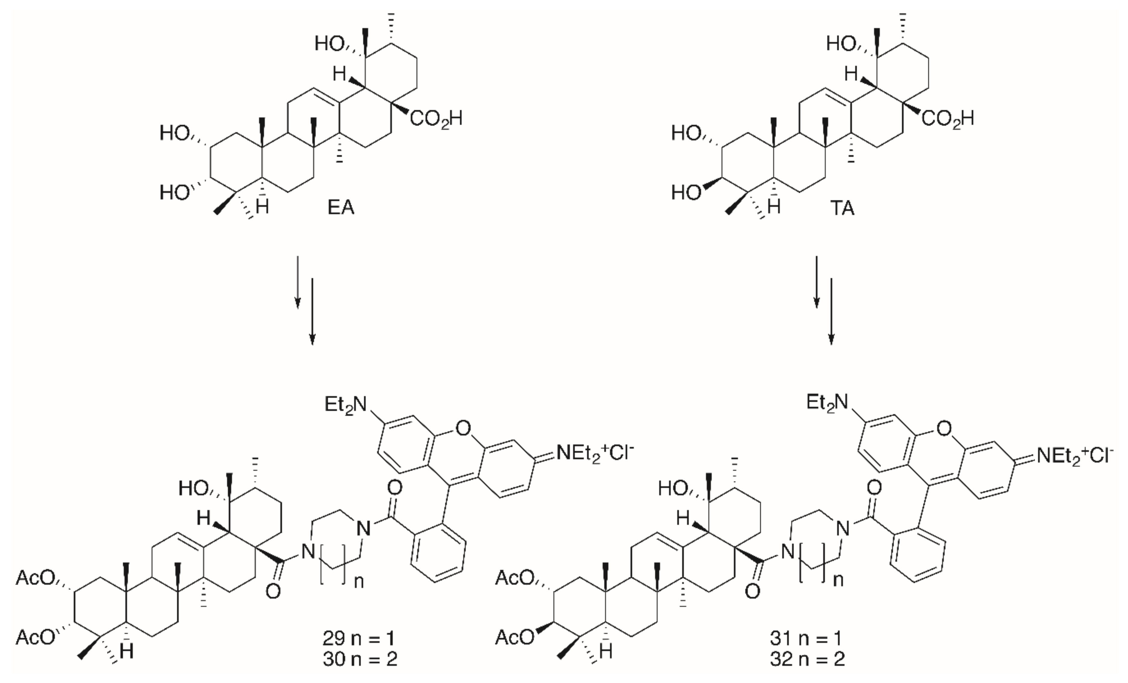 Molecules 25 05443 g008 Molecules 25 05443 g008