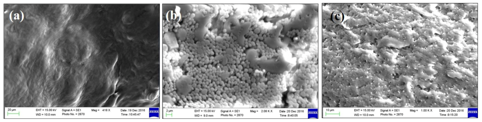 Molecules 25 05453 g003 Molecules 25 05453 g003