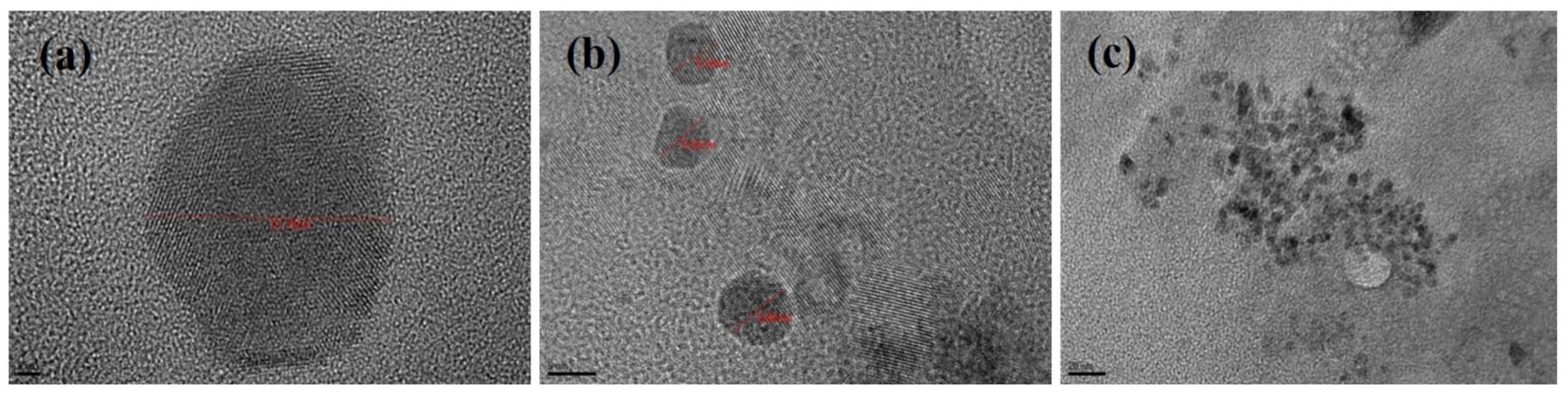 Molecules 25 05453 g004 Molecules 25 05453 g004