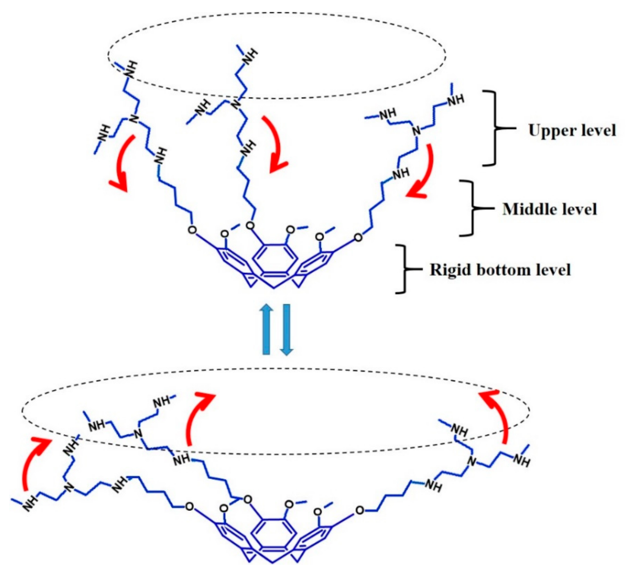 Molecules 25 05455 g002