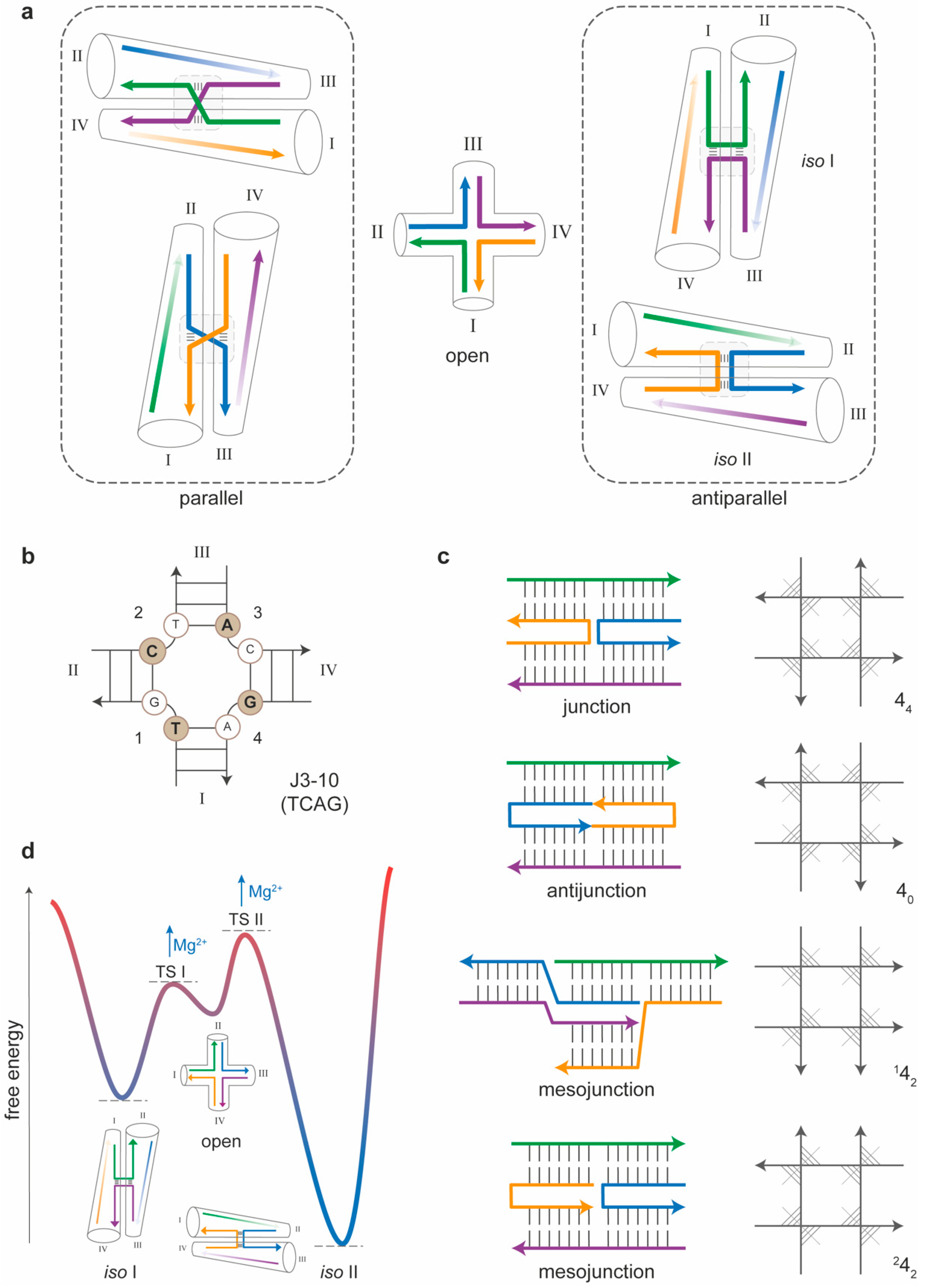 Molecules 25 05466 g002