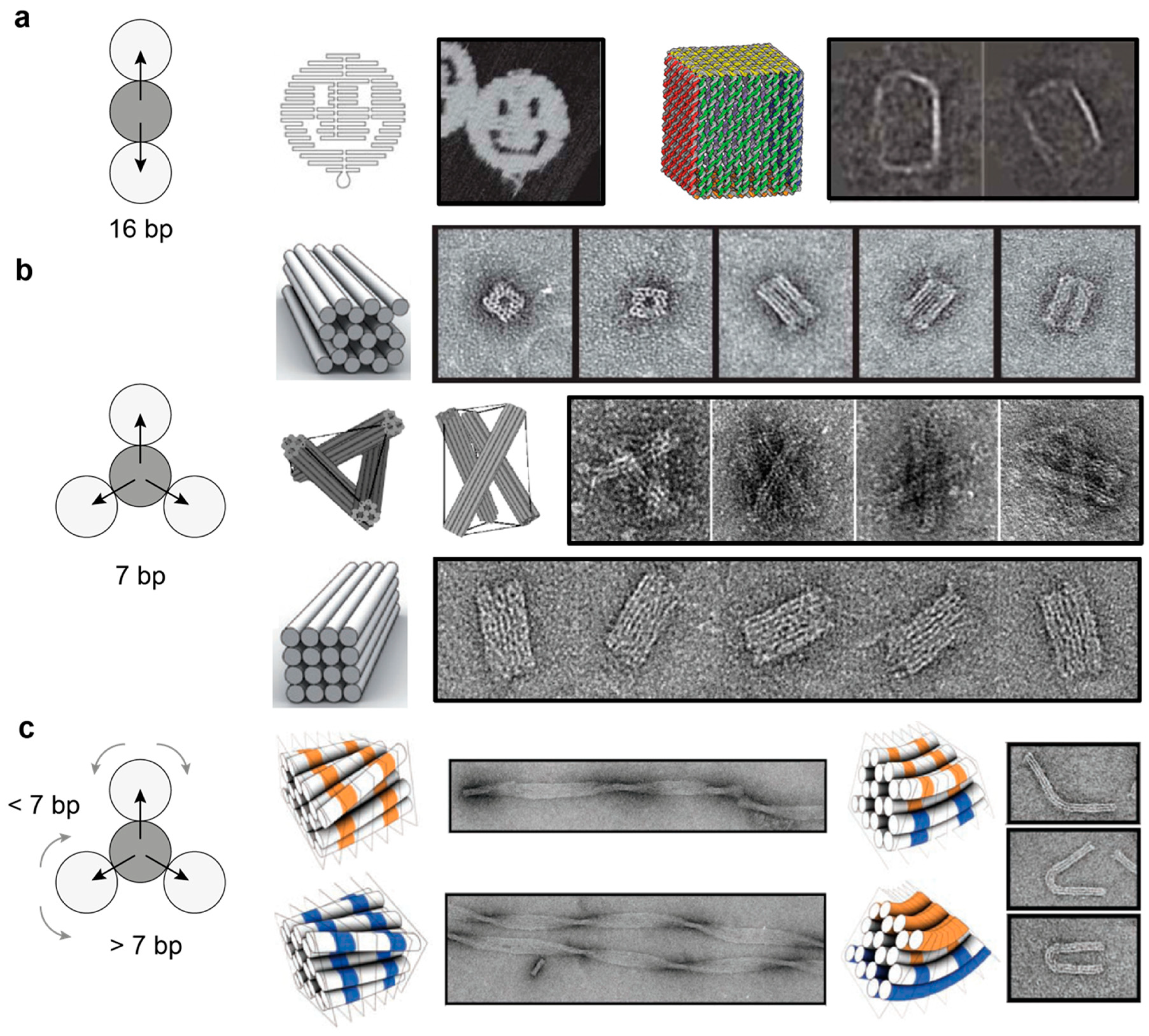 Molecules 25 05466 g004a