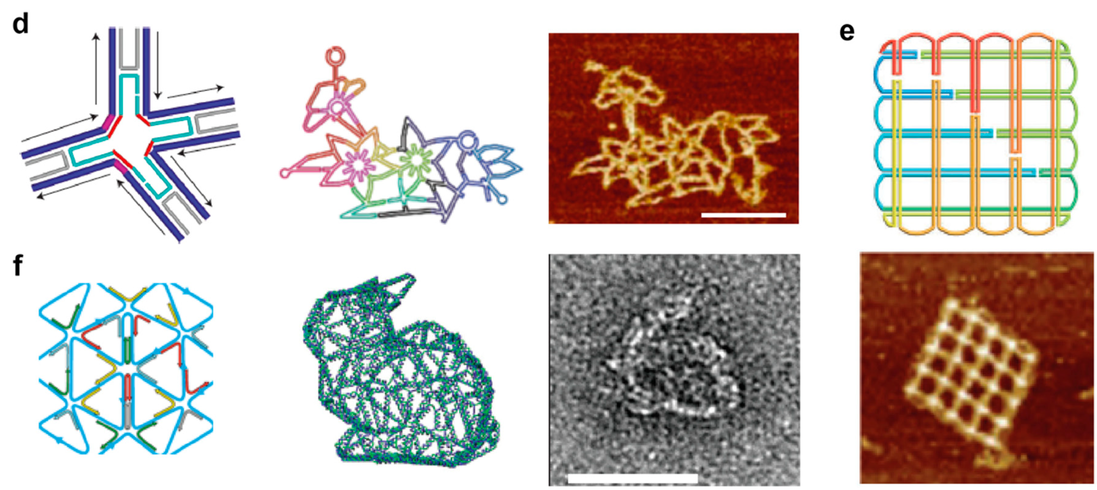 Molecules 25 05466 g004b