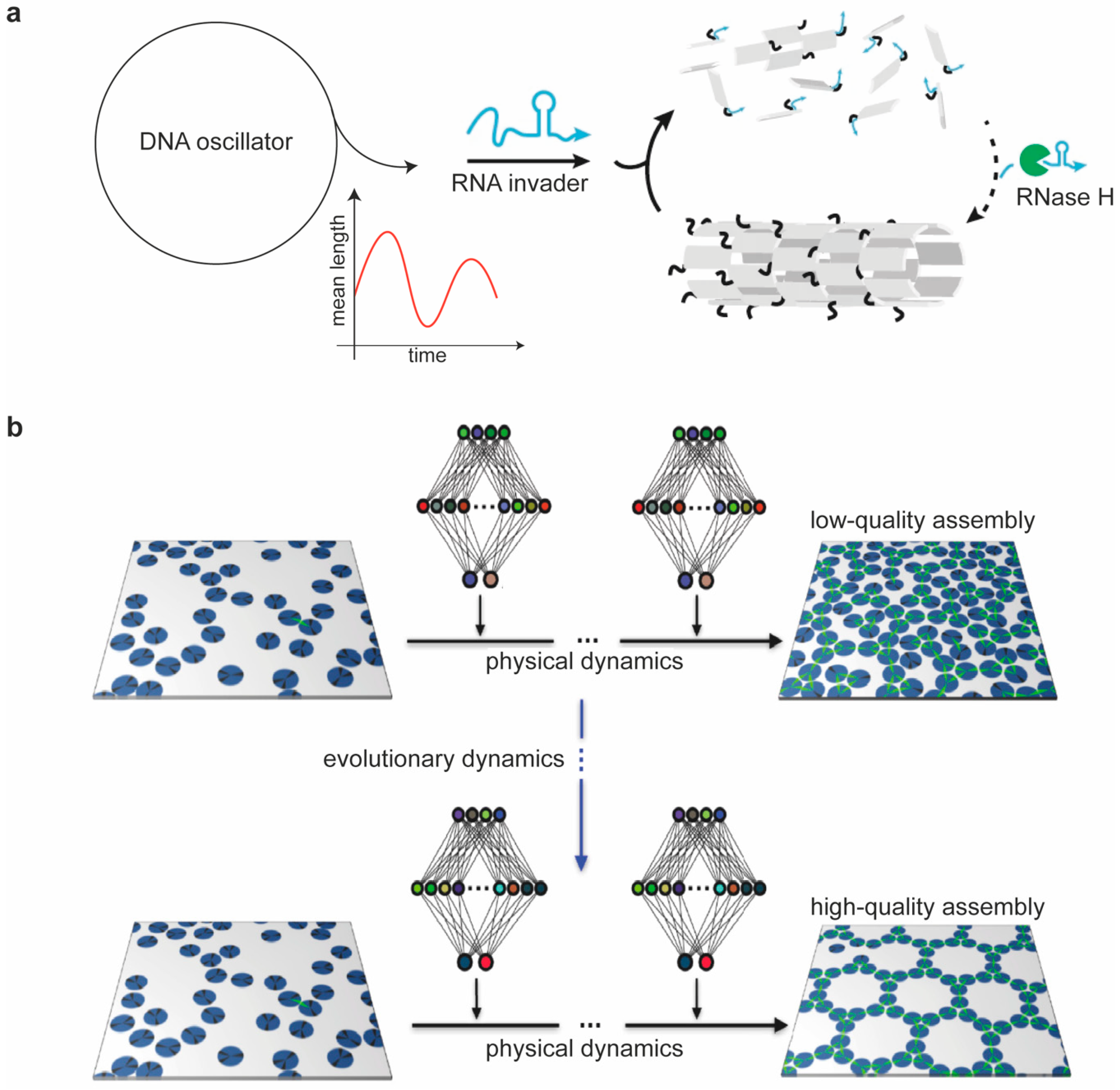 Molecules 25 05466 g006