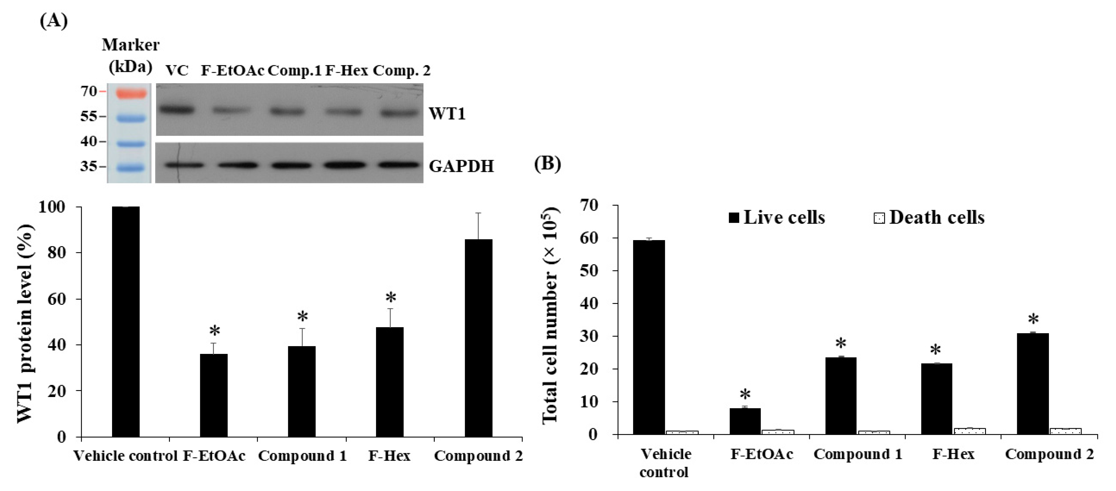 Molecules 25 05476 g008